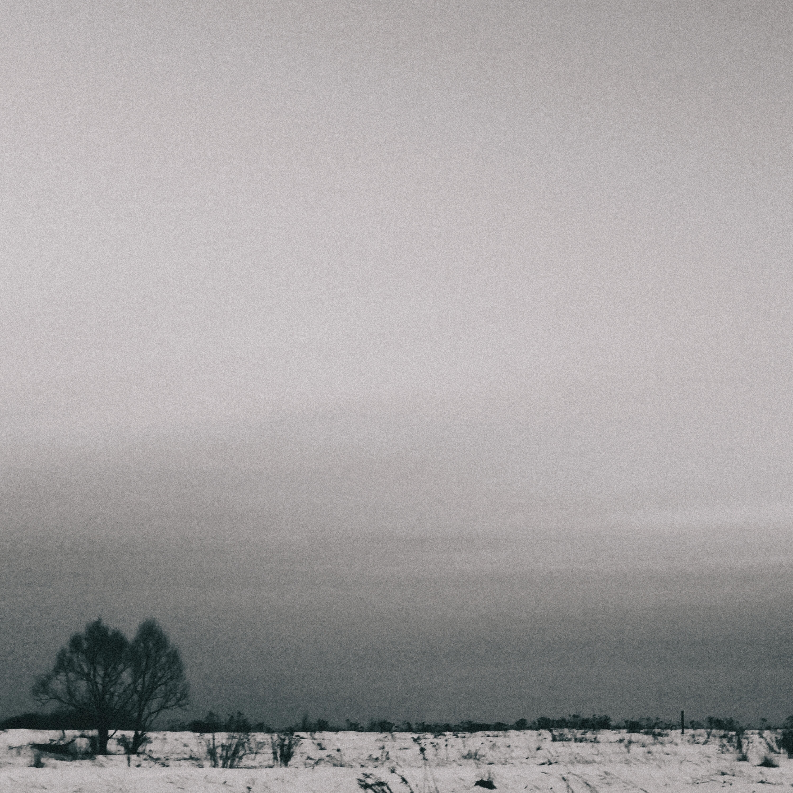 Релиз Frostbite