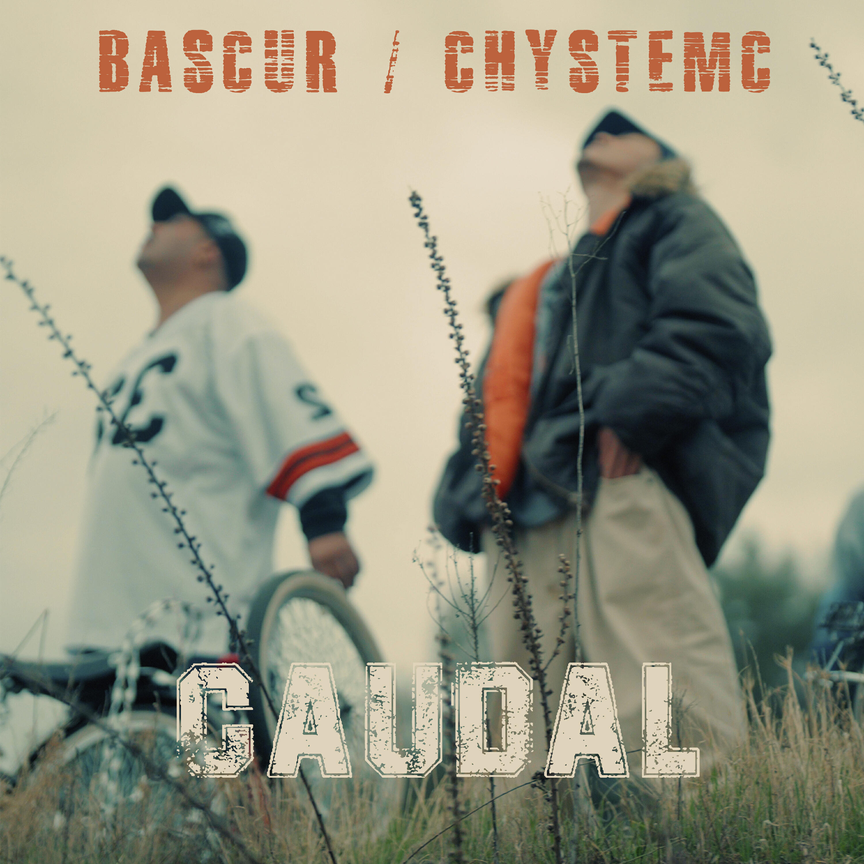 Релиз Caudal