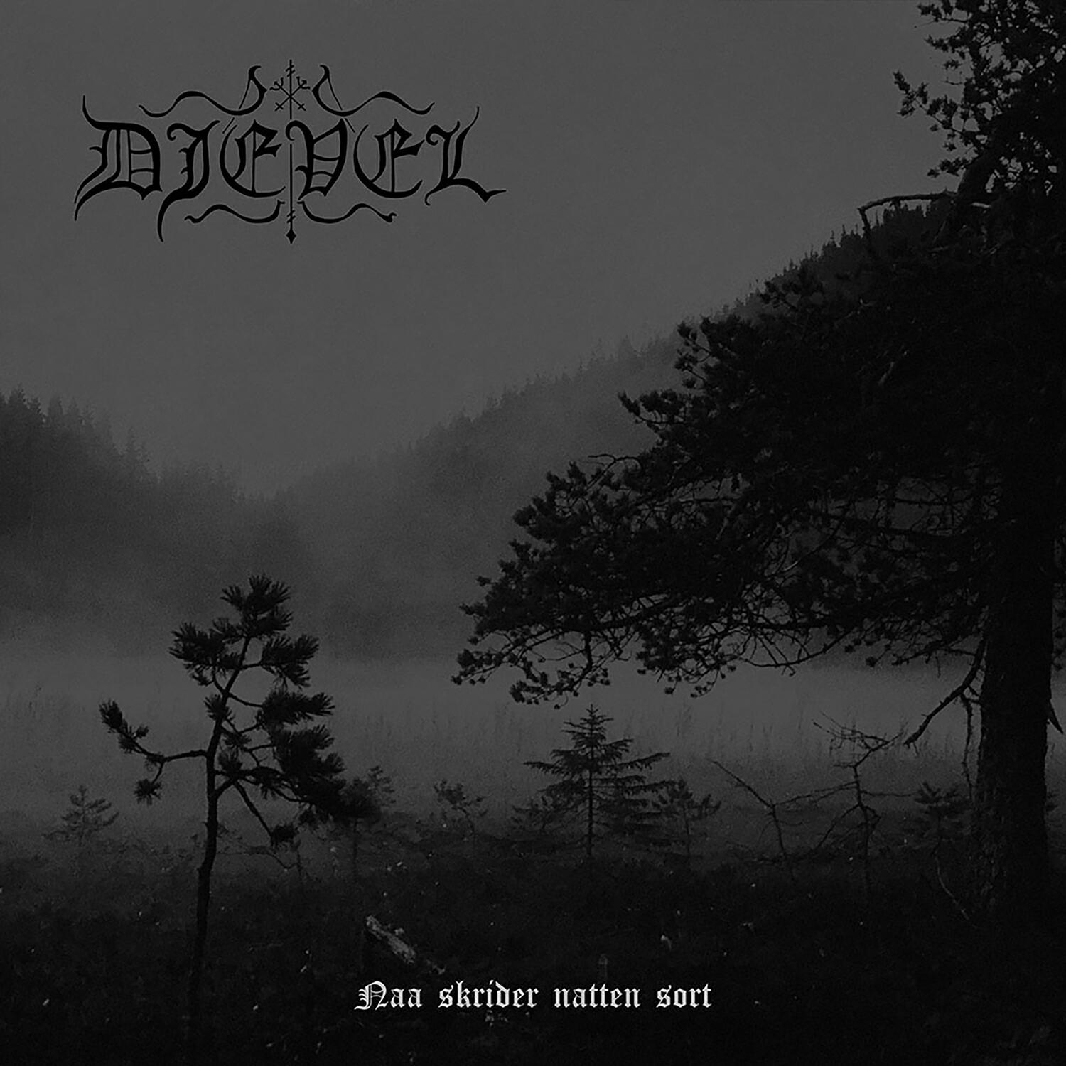 Релиз Naa skrider natten sort