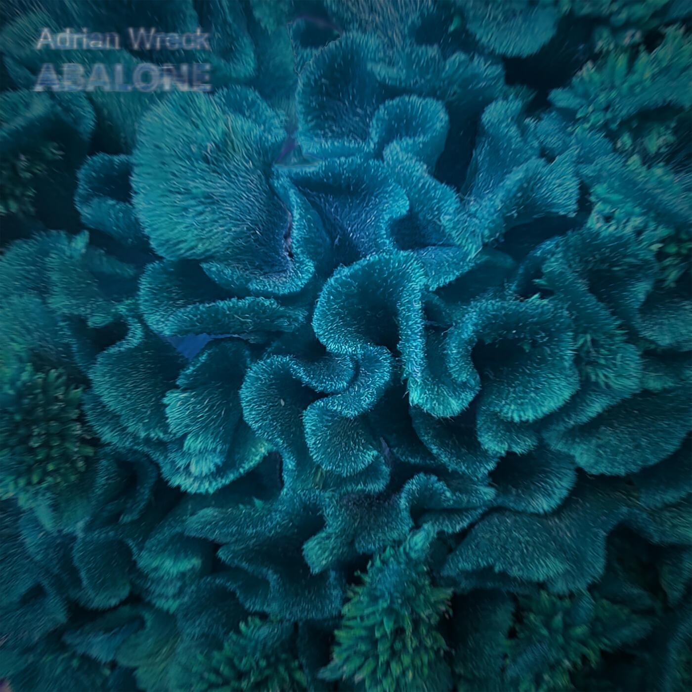 Релиз Abalone