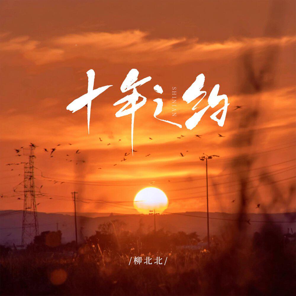 Релиз 十年之约