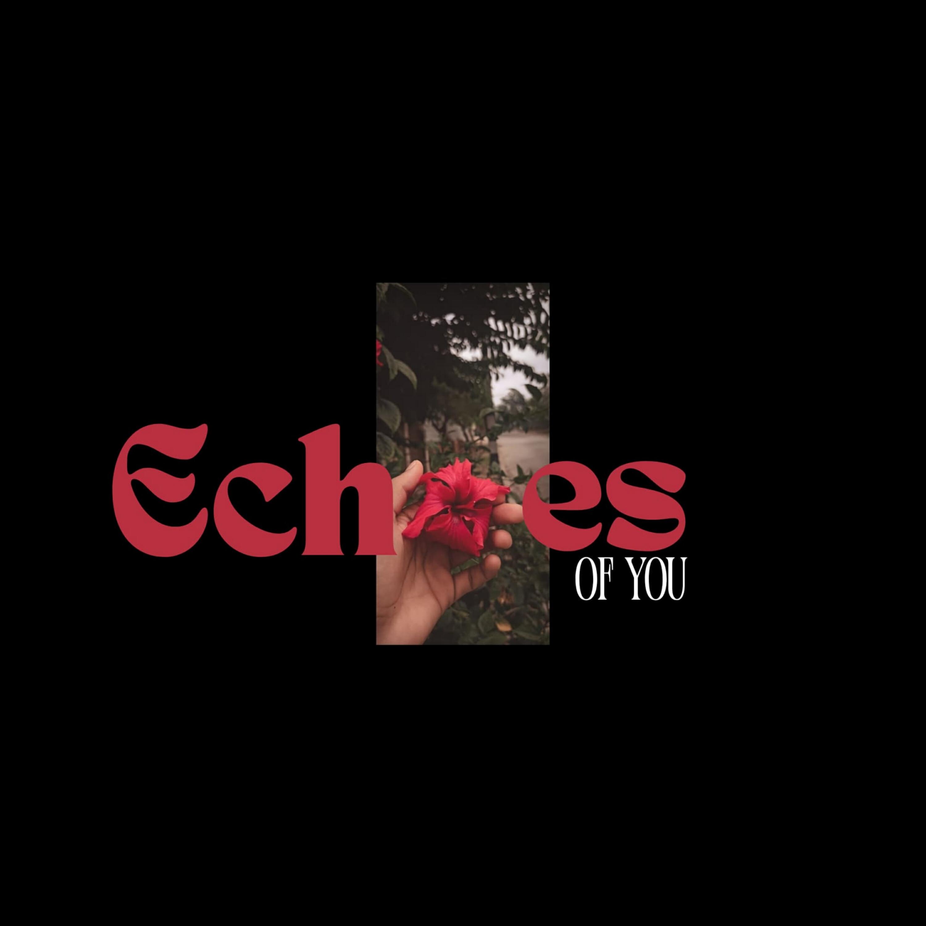 Постер альбома Echoes of You