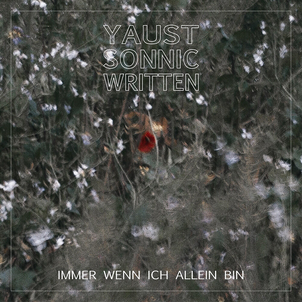 Релиз Immer Wenn Ich Allein Bin