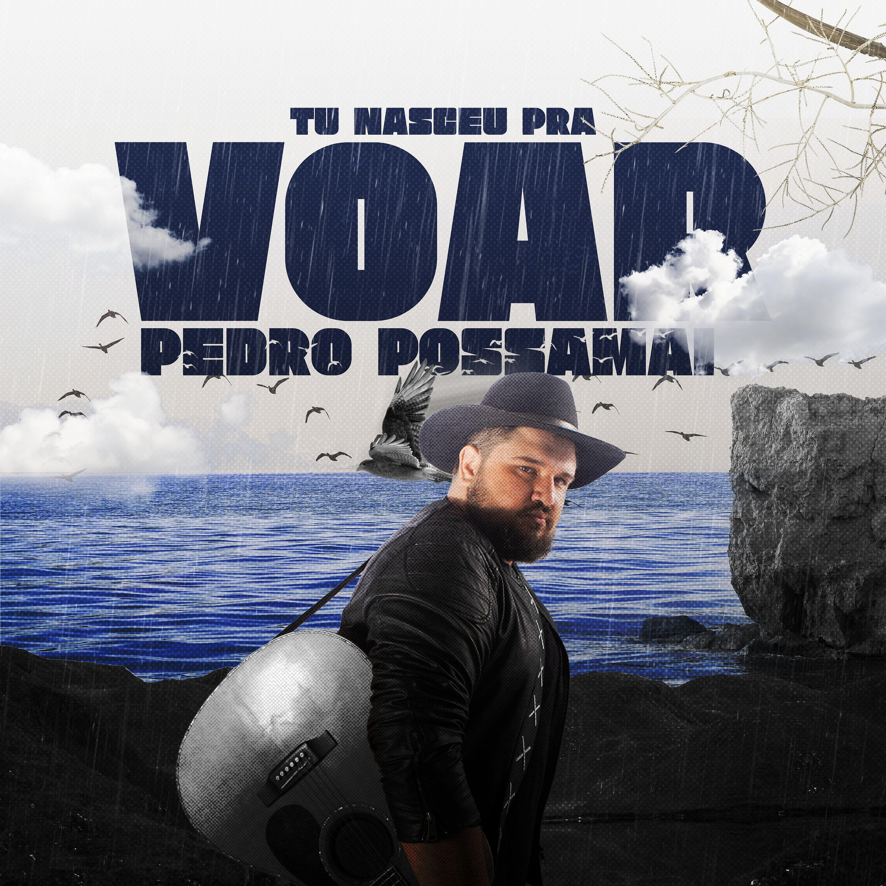 Релиз Tu Nasceu pra Voar