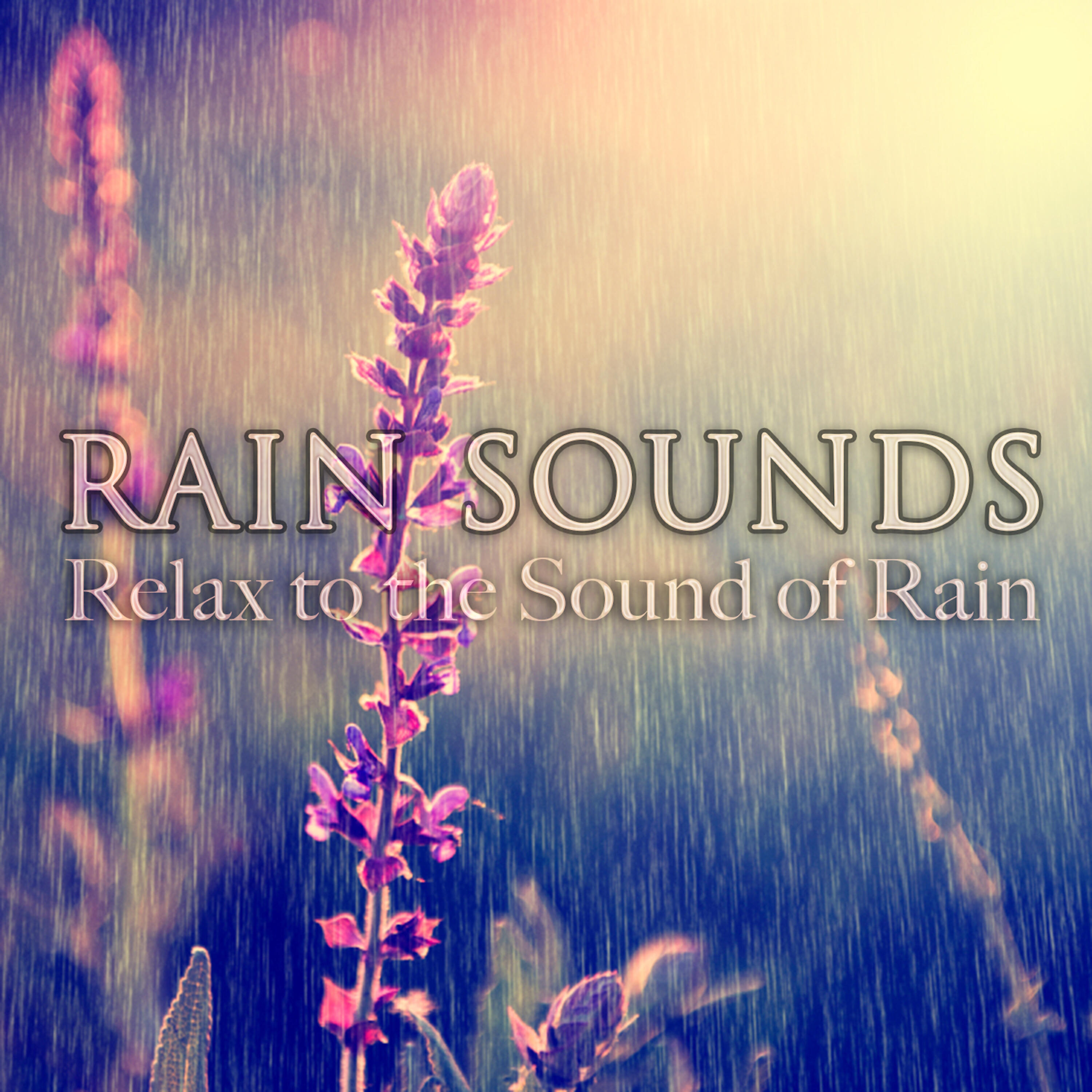 Релиз Rain Sounds