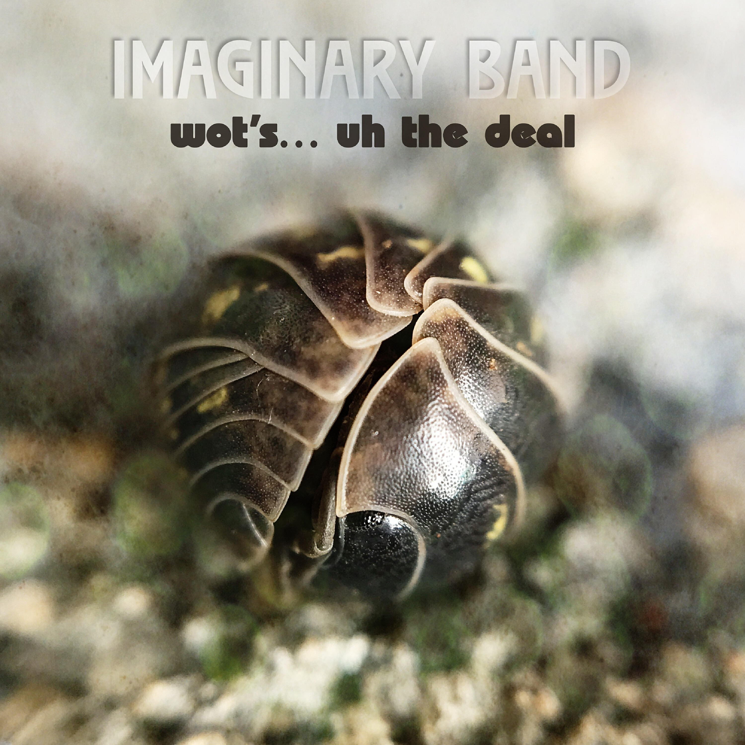 Imaginary Band