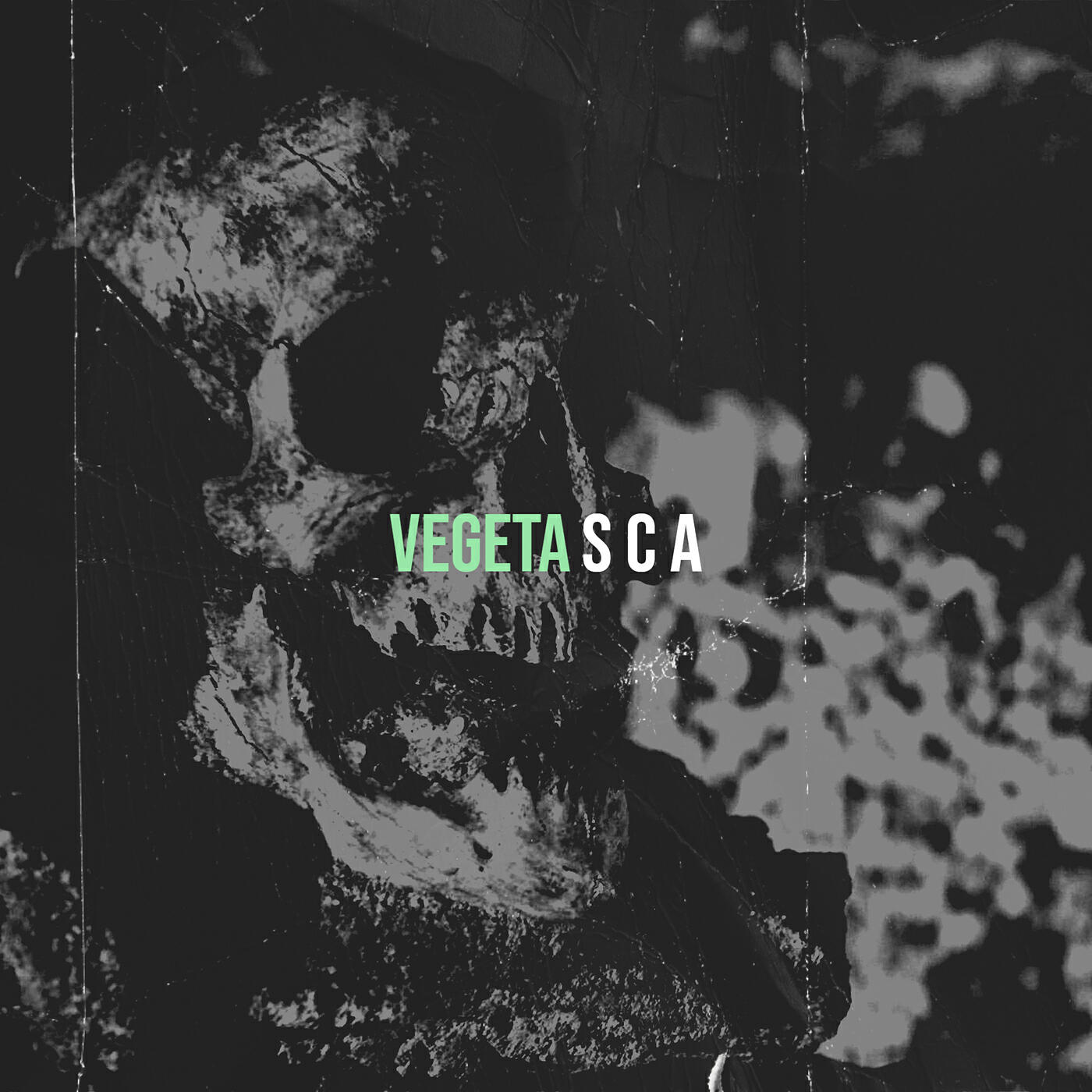 Релиз VEGETA