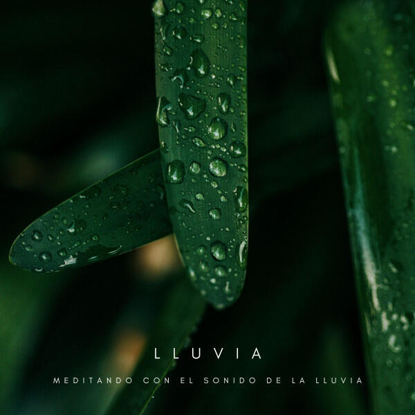 Релиз Lluvia: Meditando Con El Sonido De La Lluvia