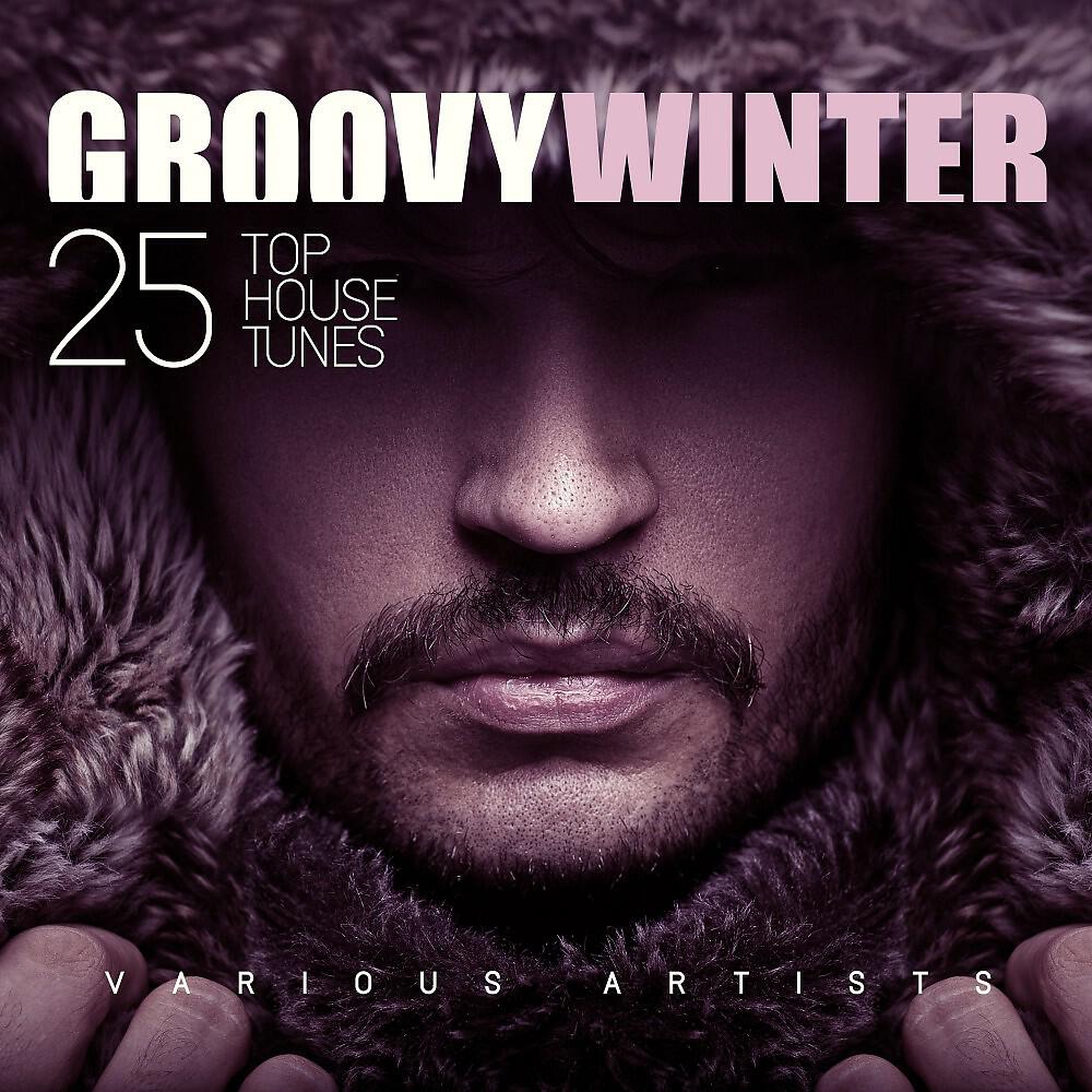 Релиз Groovy Winter (25 Top House Tunes)