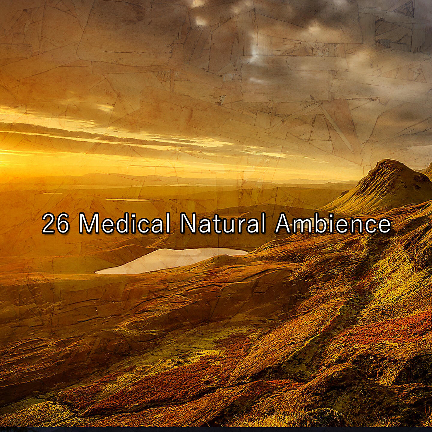 Релиз 26 Medical Natural Ambience