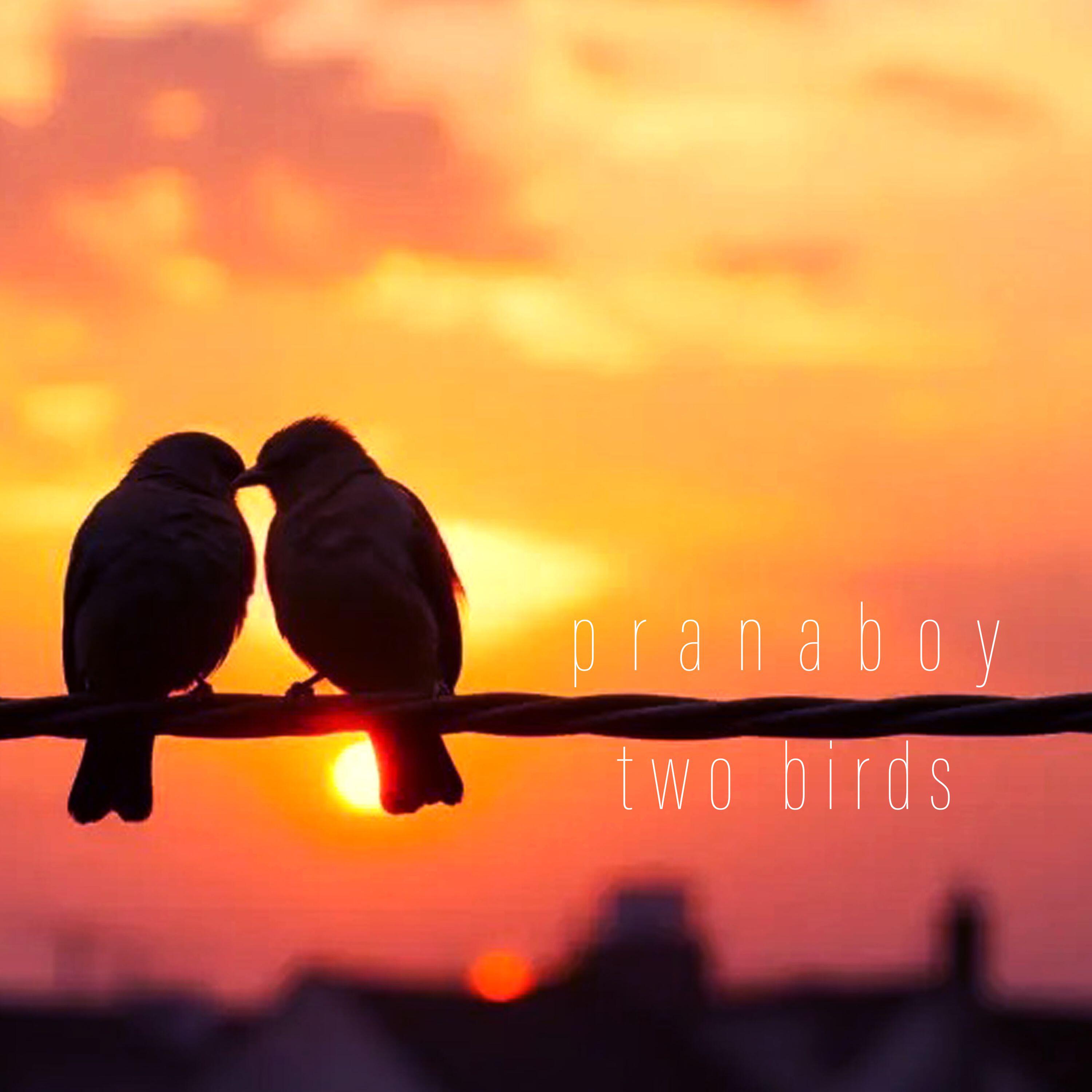 Релиз Two Birds