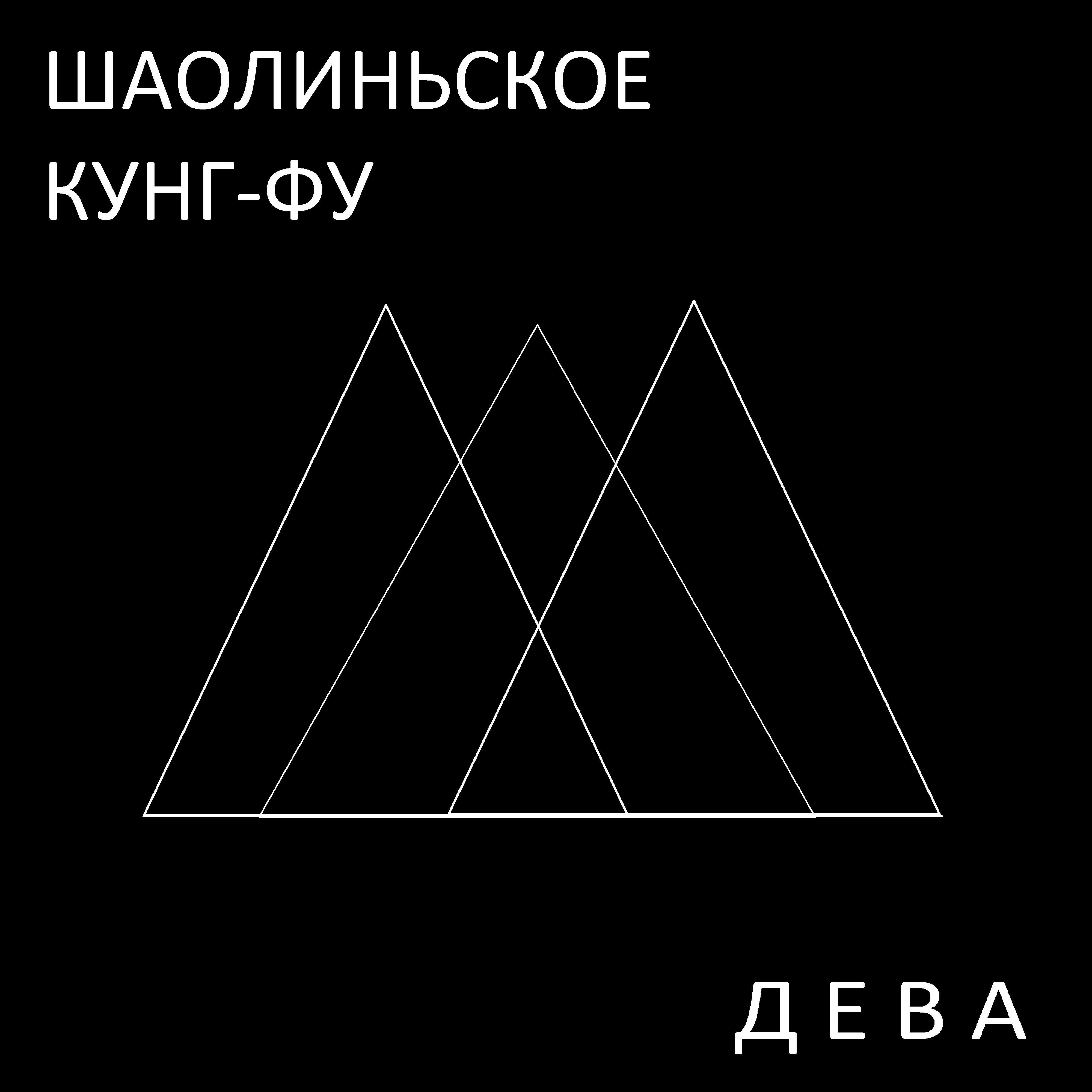 Релиз Шаолиньское кунг-фу