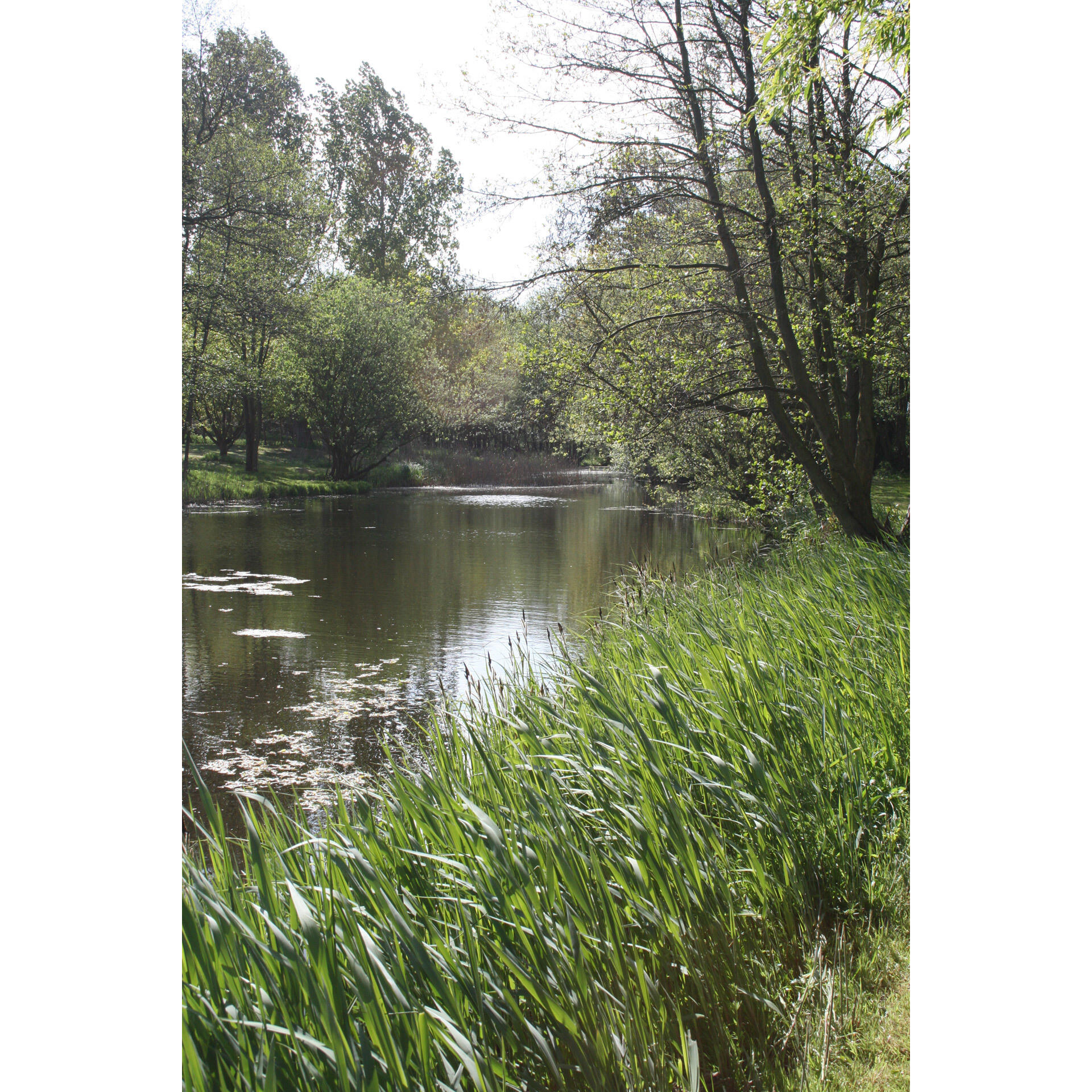 Релиз Janacek: Lashes Dances for Symphony Orchestra - Mahler: Symphony No. 4
