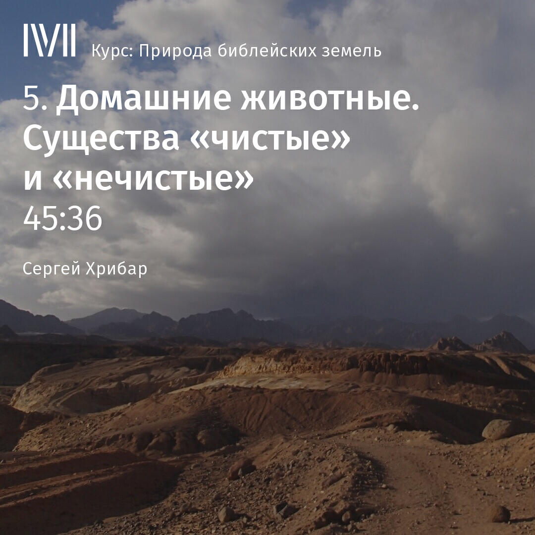 Книга "Домашние животные. Существа "чистые" и "нечистые"