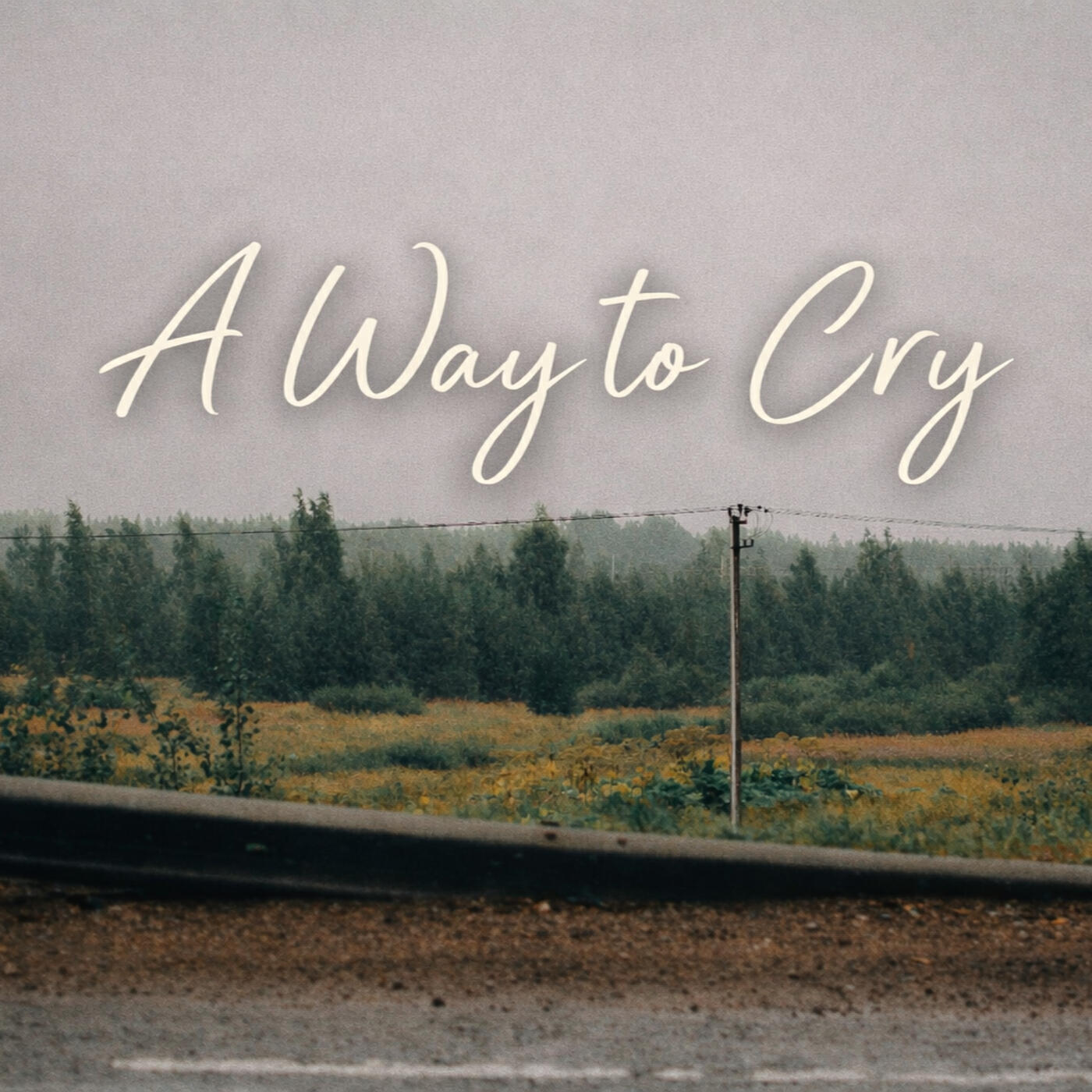 Релиз A Way to Cry