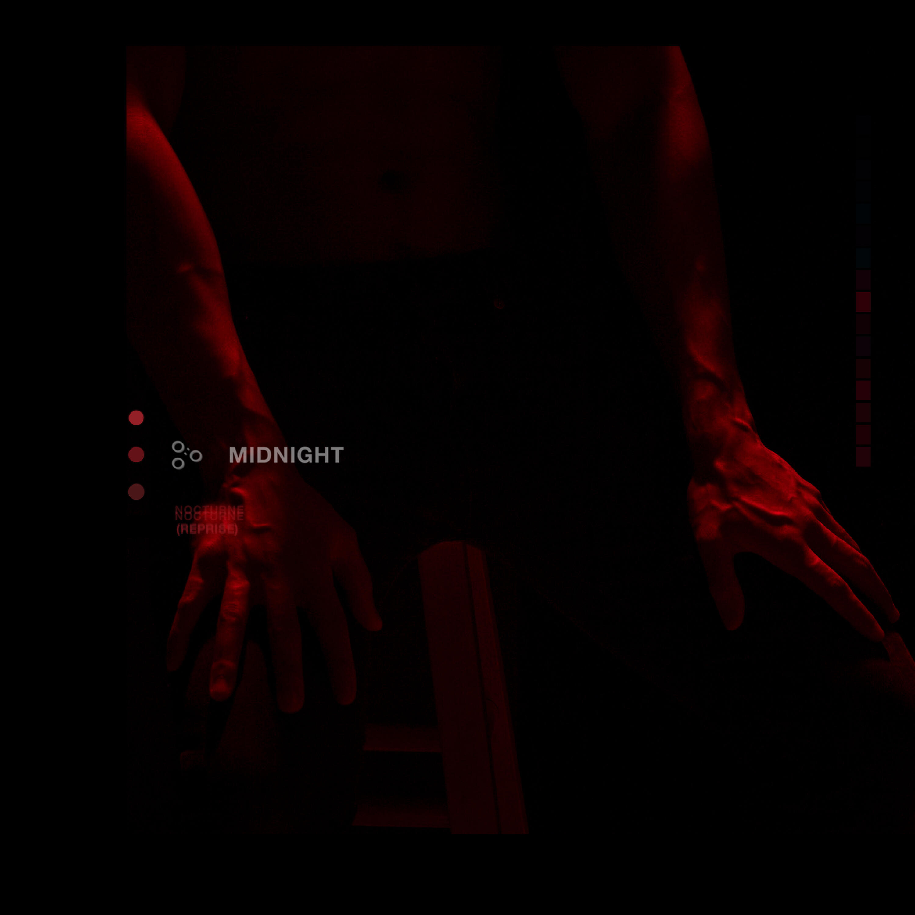 Постер альбома Nocturne Reprise