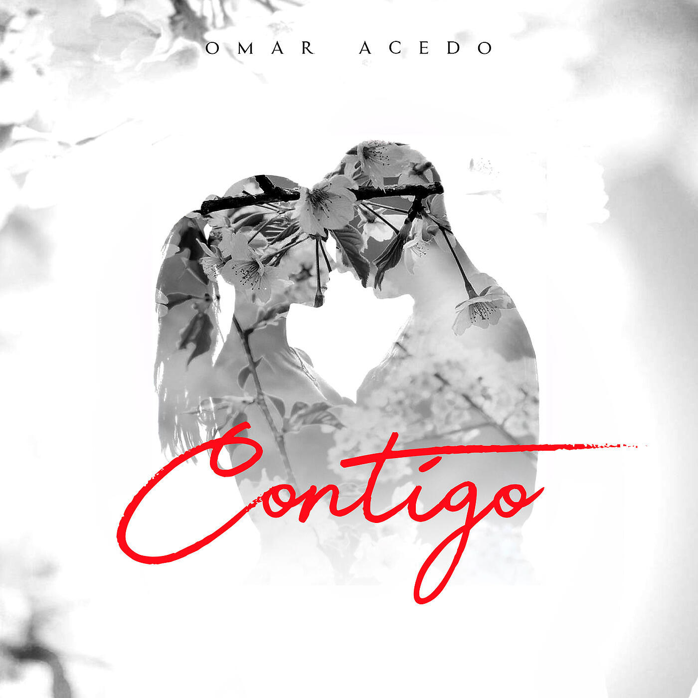 Релиз Contigo