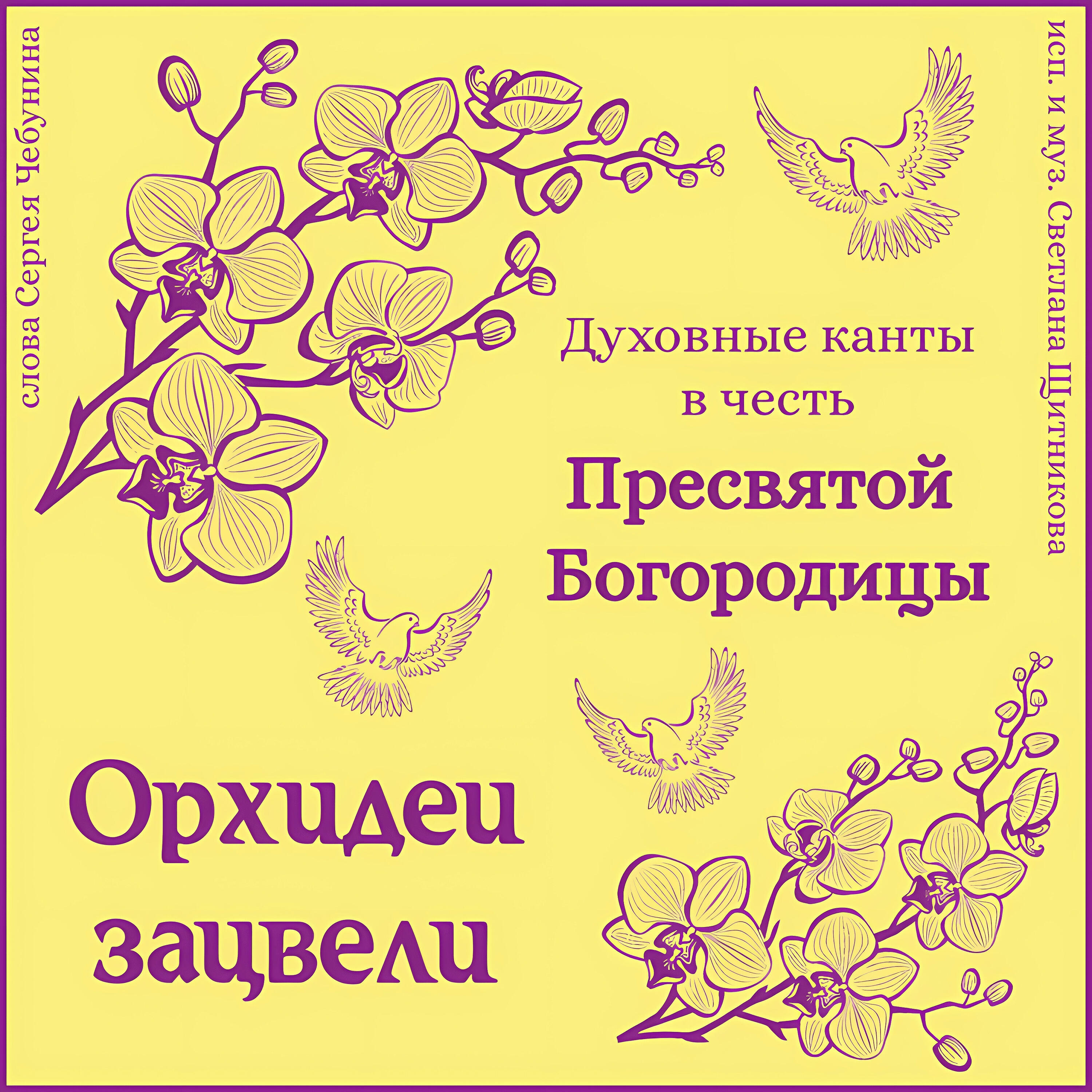 Релиз Орхидеи зацвели
