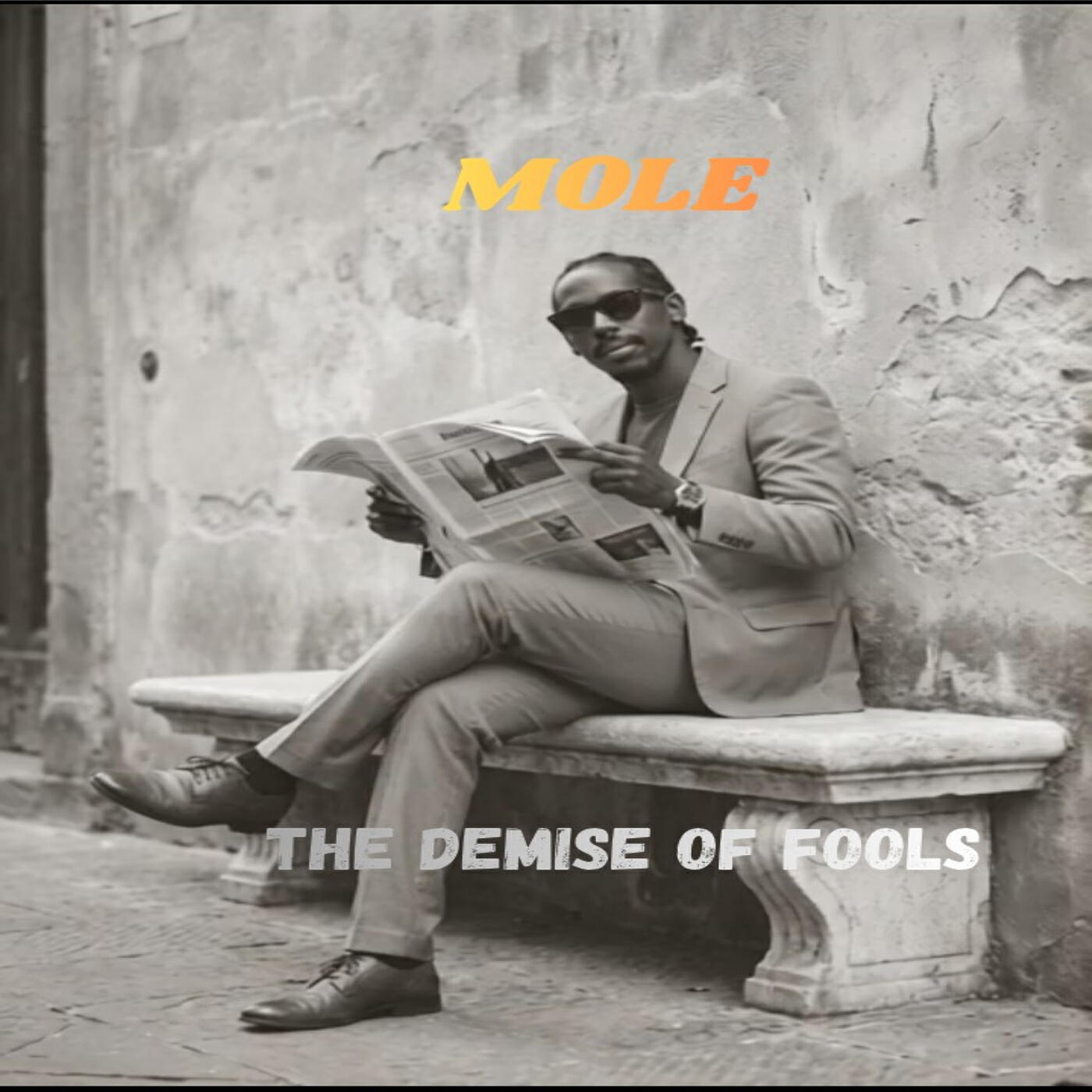 Релиз The Demise of Fools