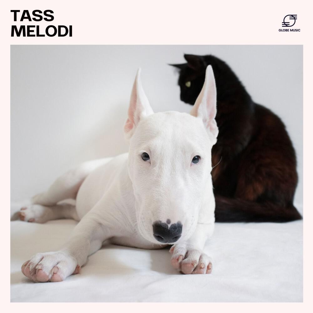 Релиз Tassmelodi