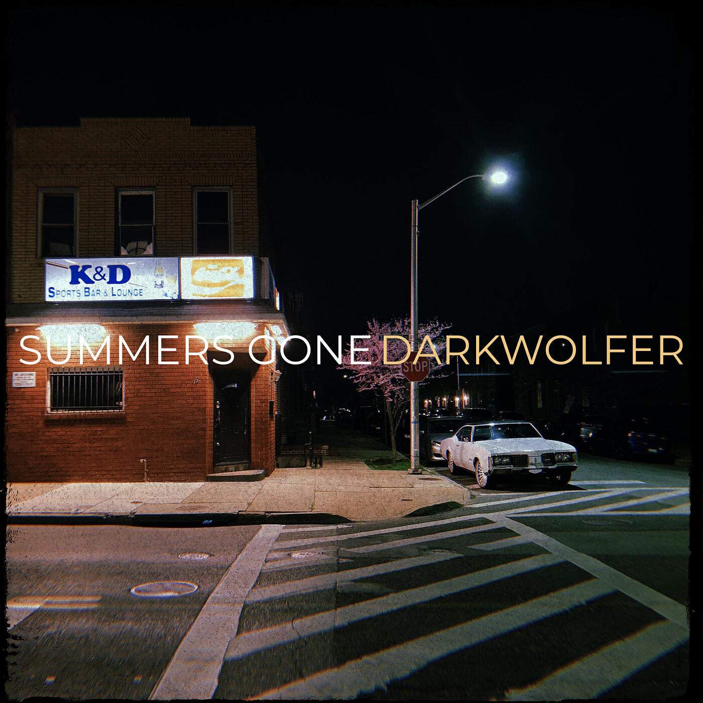 DarkWolfer