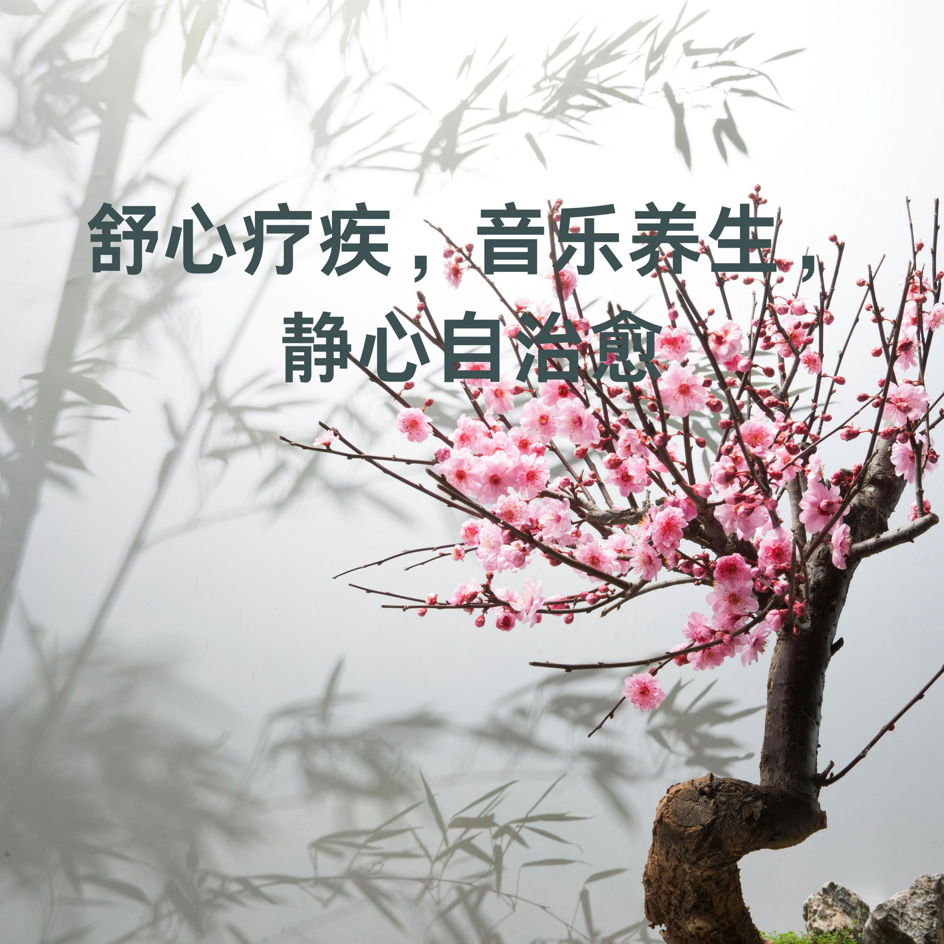 Релиз 舒心疗疾，音乐养生，静心自治愈