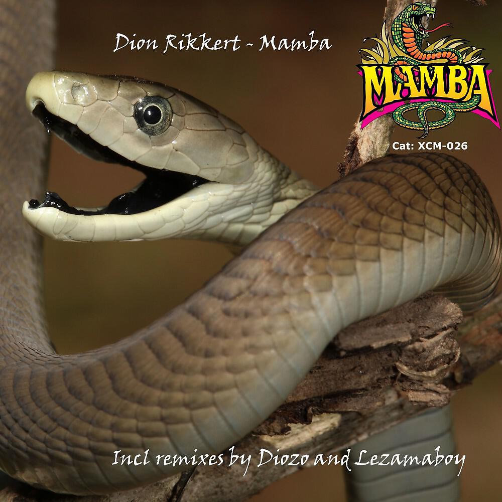 Релиз Mamba