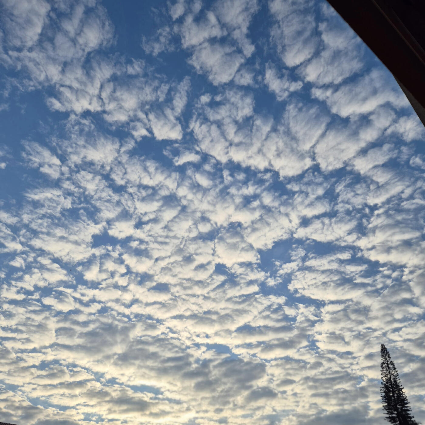 Релиз SKY