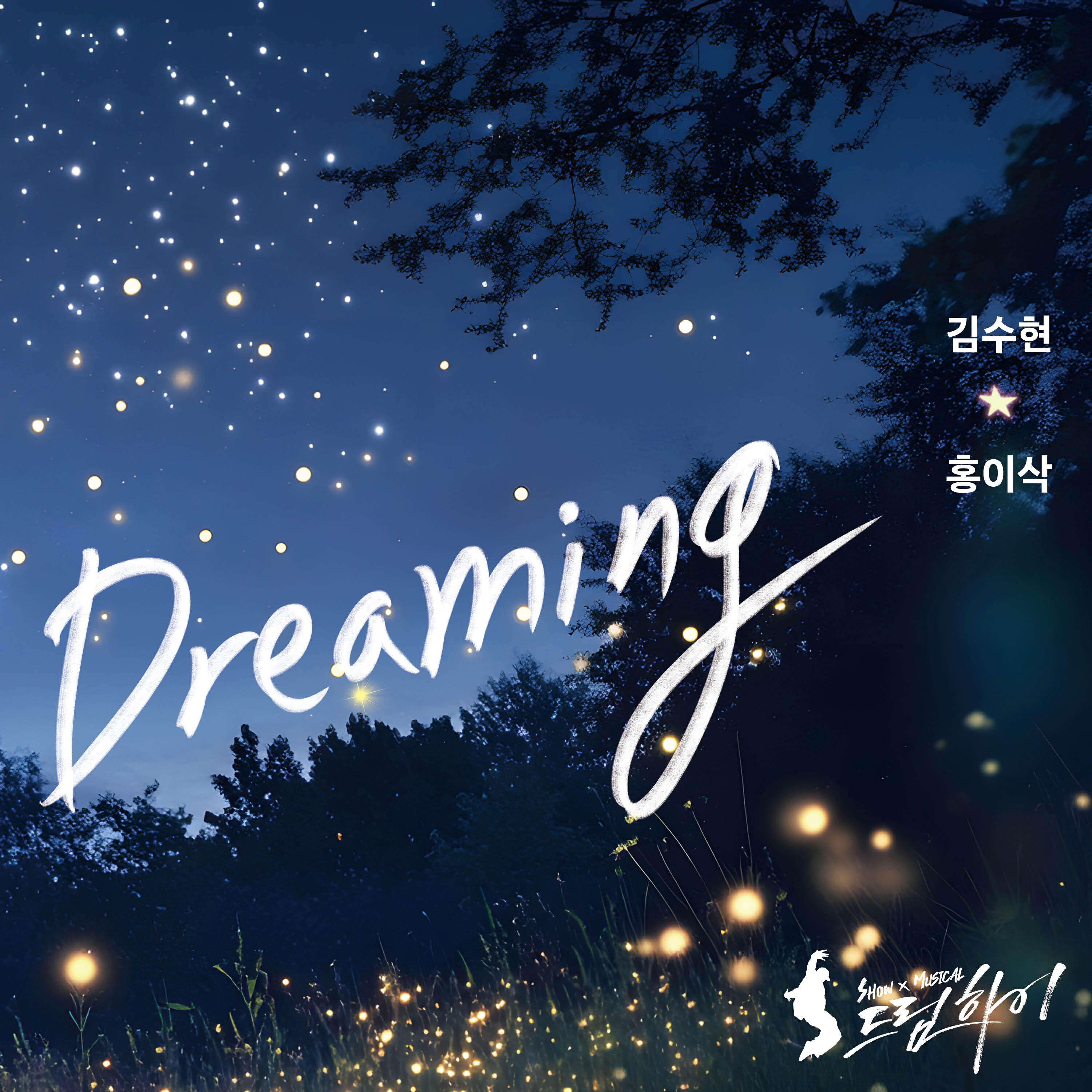 Kim Soo Hyun