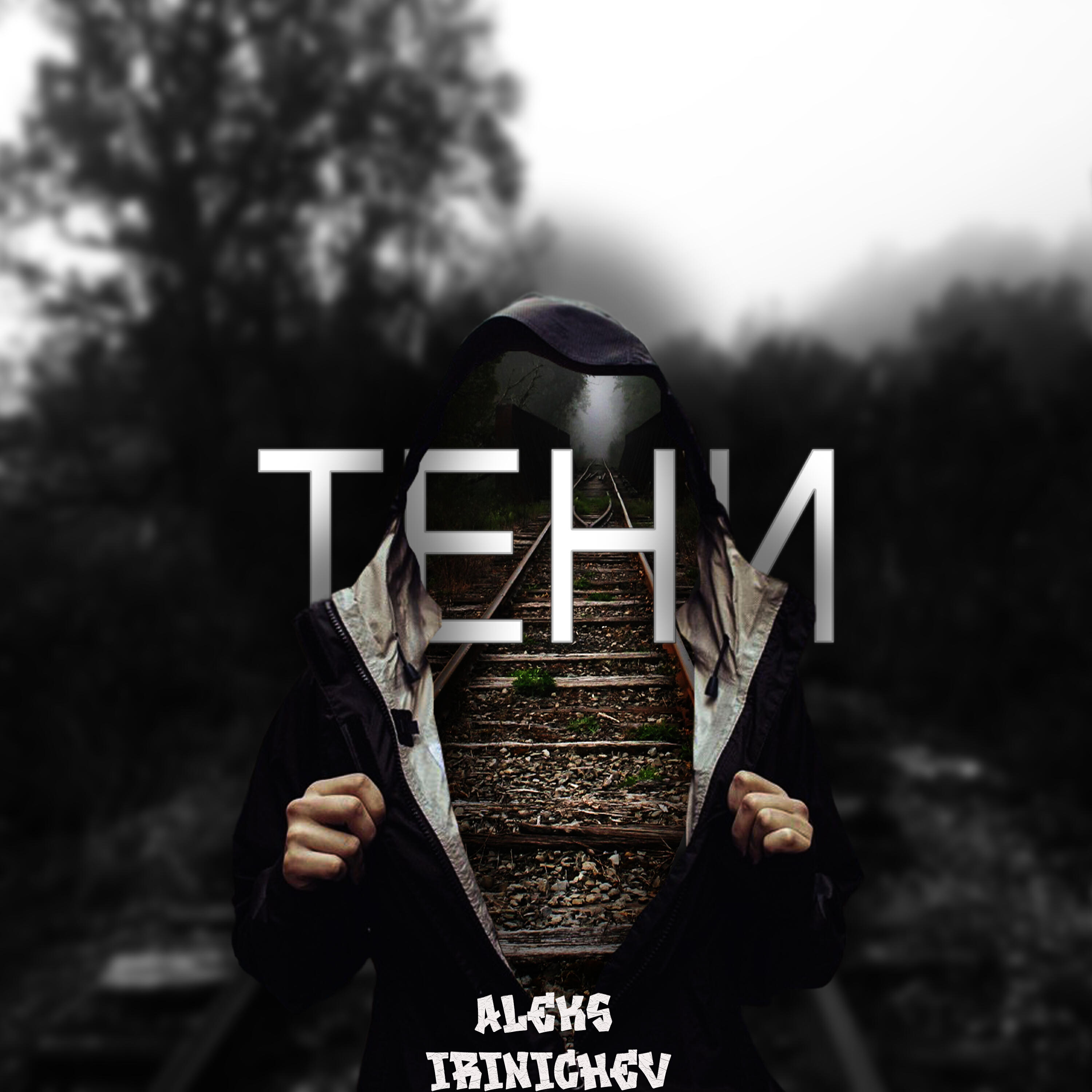 Релиз Тени