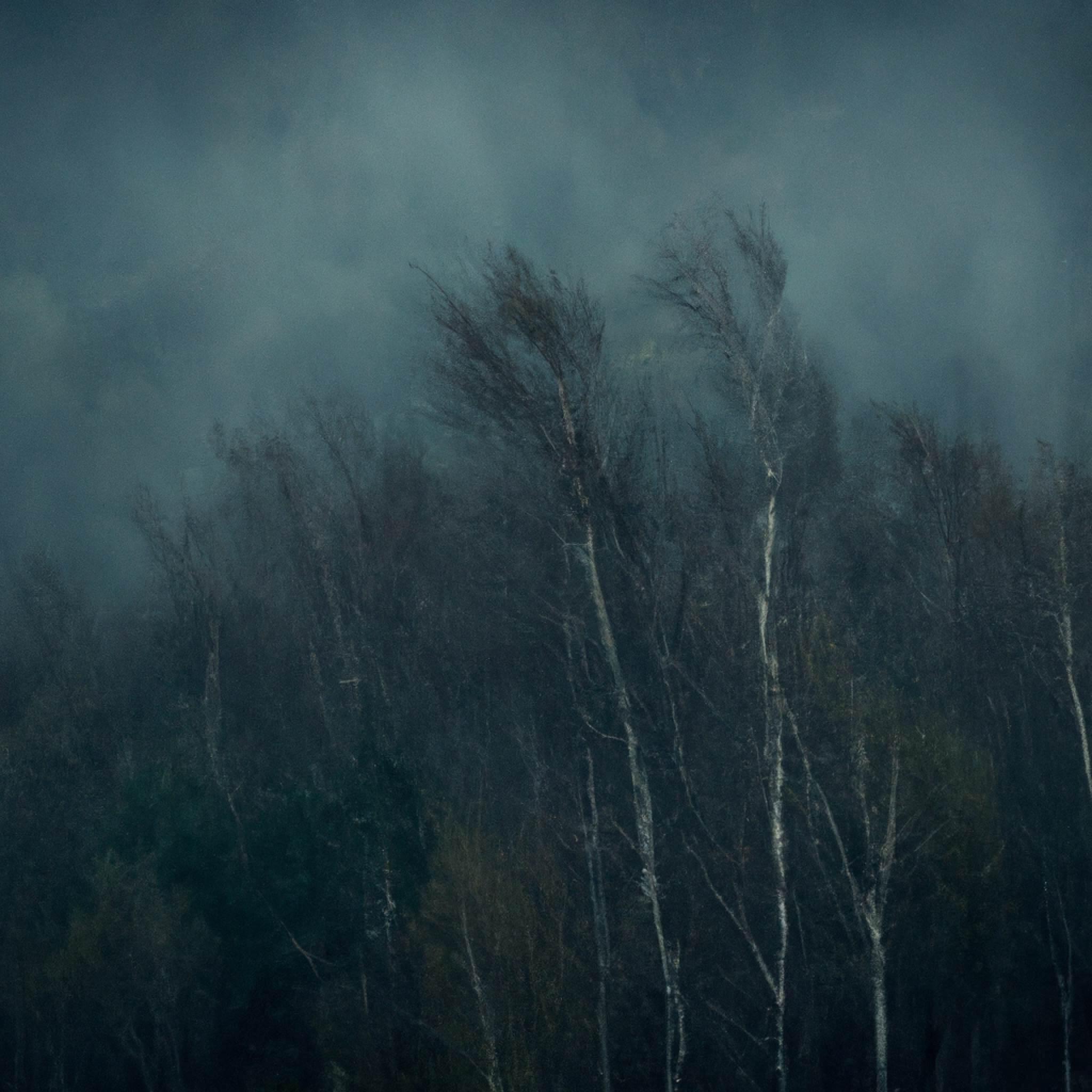 Релиз Fallen Down - Slowed + Reverb + Wind + Liminality