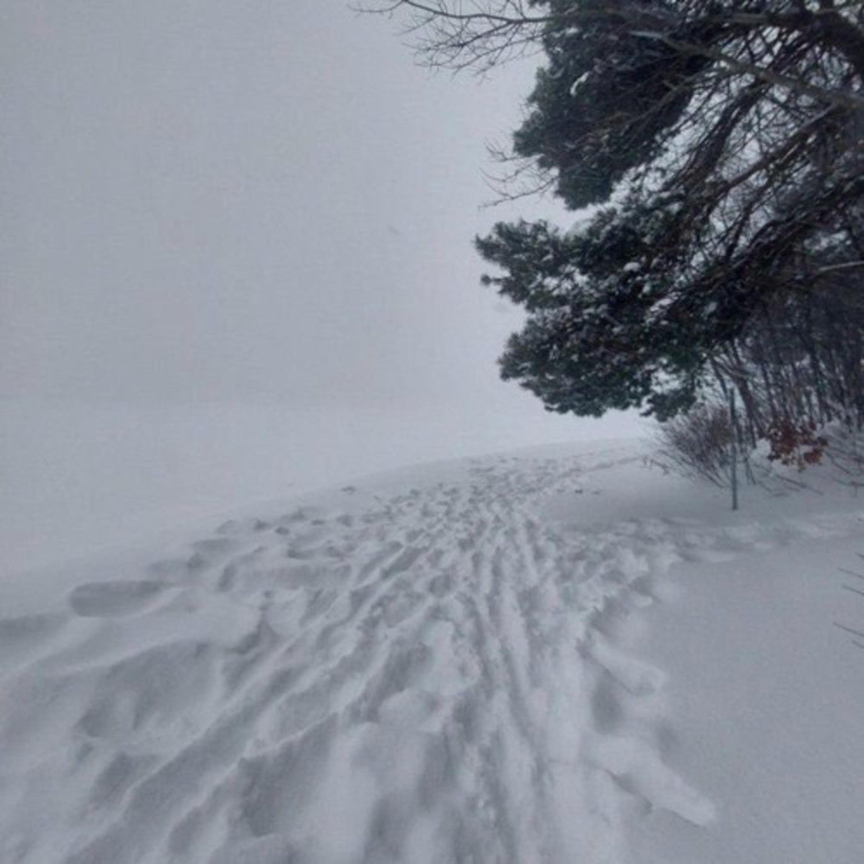 Релиз winter II