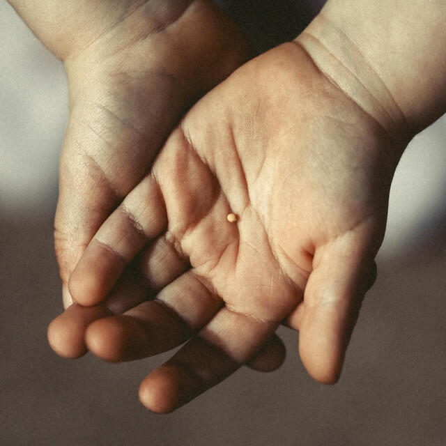 Трек With Map And Hope