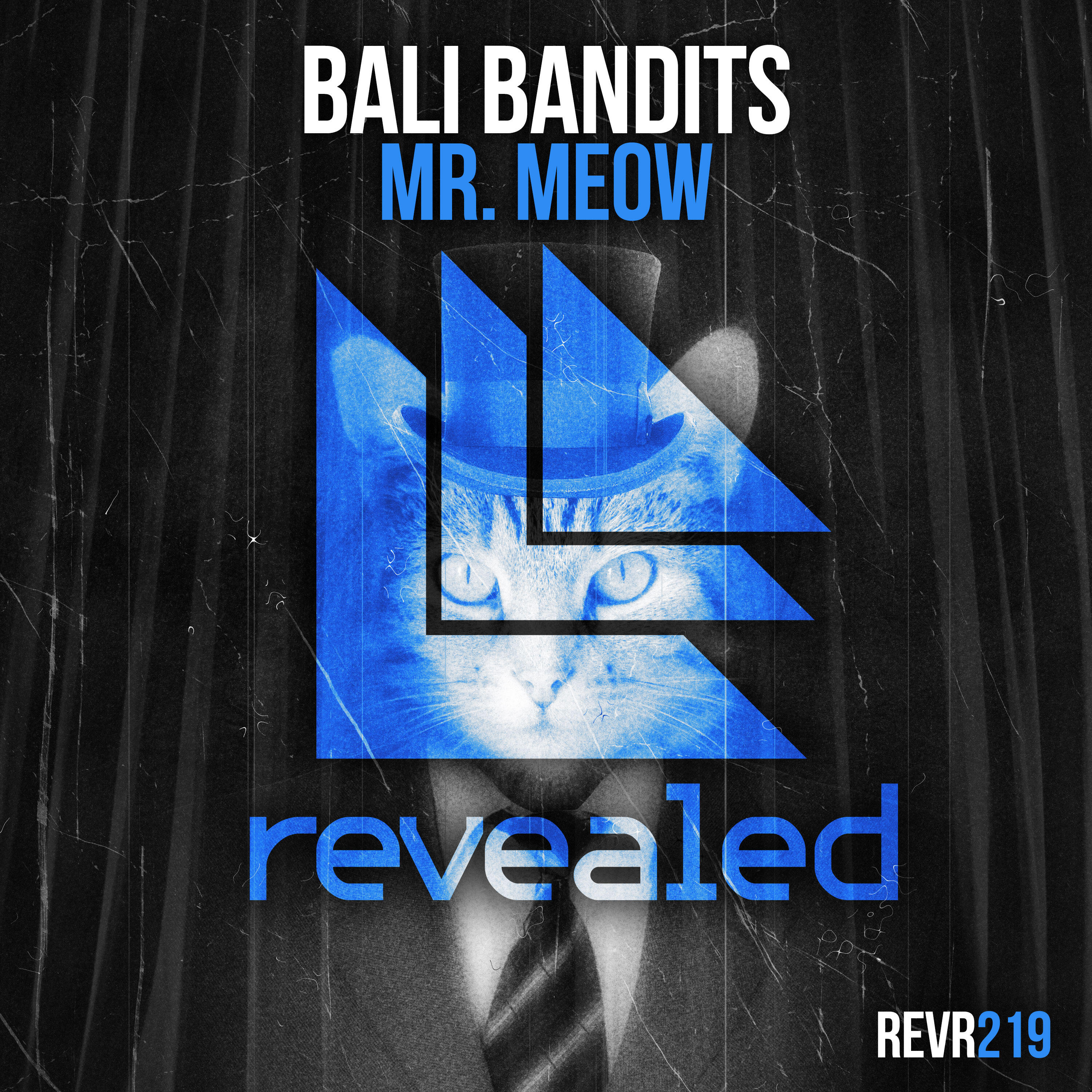 Релиз Mr. Meow