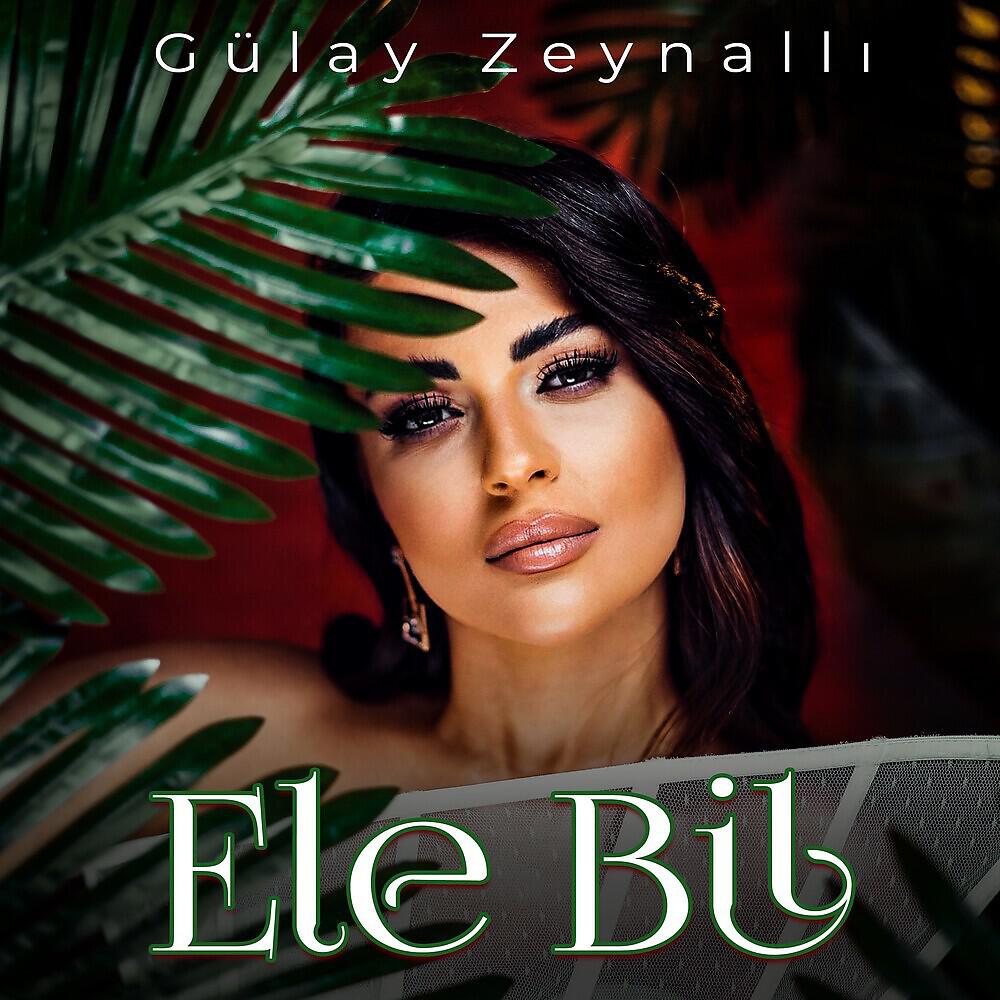 Релиз Ele Bil