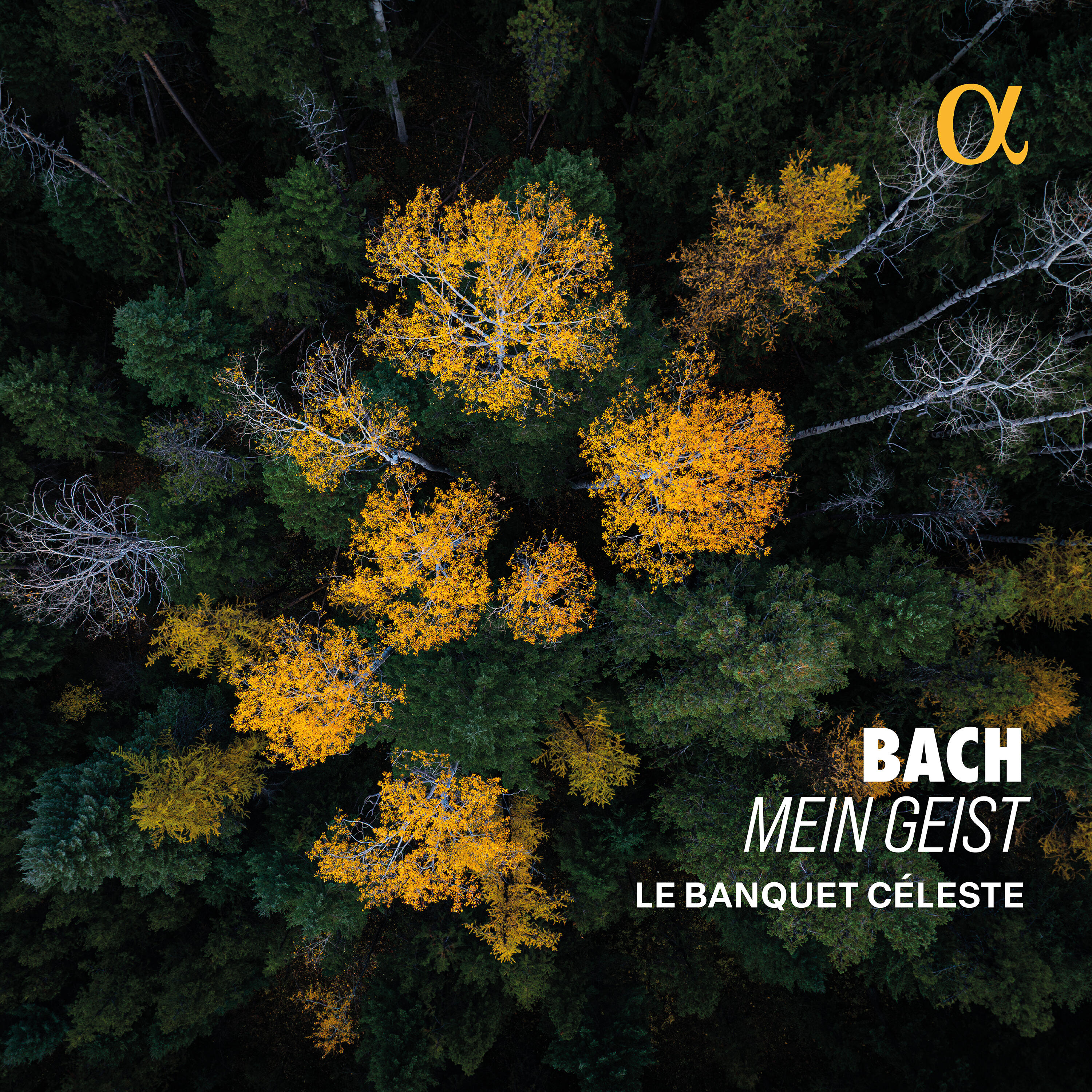 Релиз J. S. Bach: Mein Geist