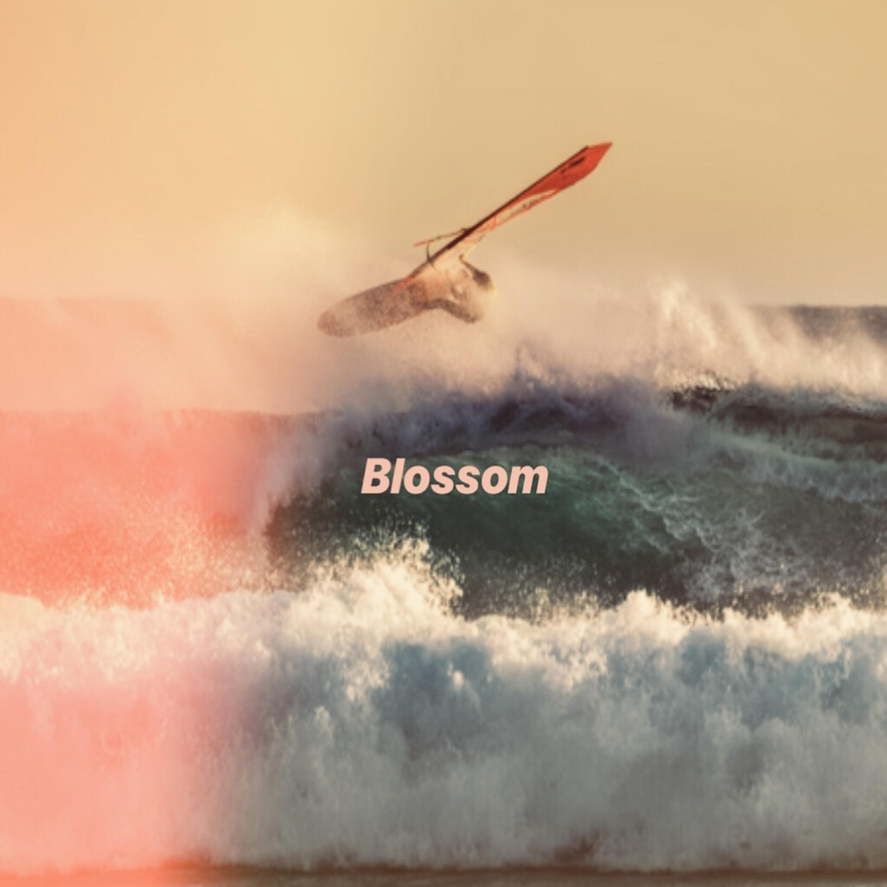 Релиз Blossom
