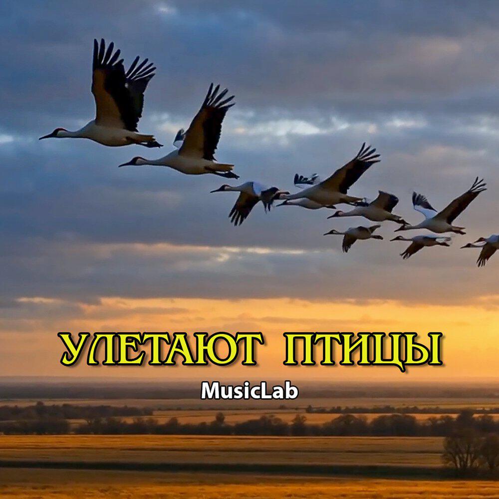 Релиз Улетают птицы