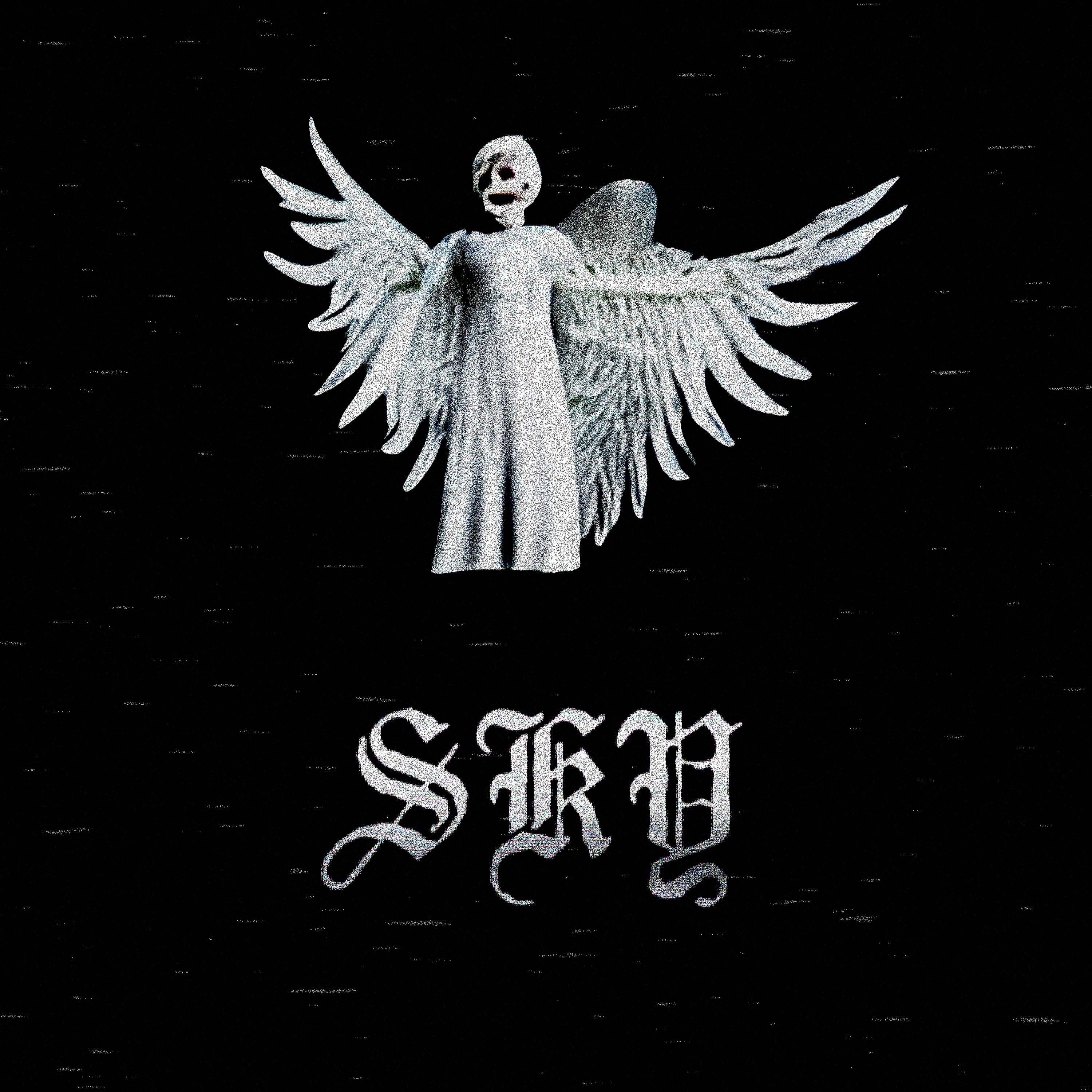 Релиз SKY