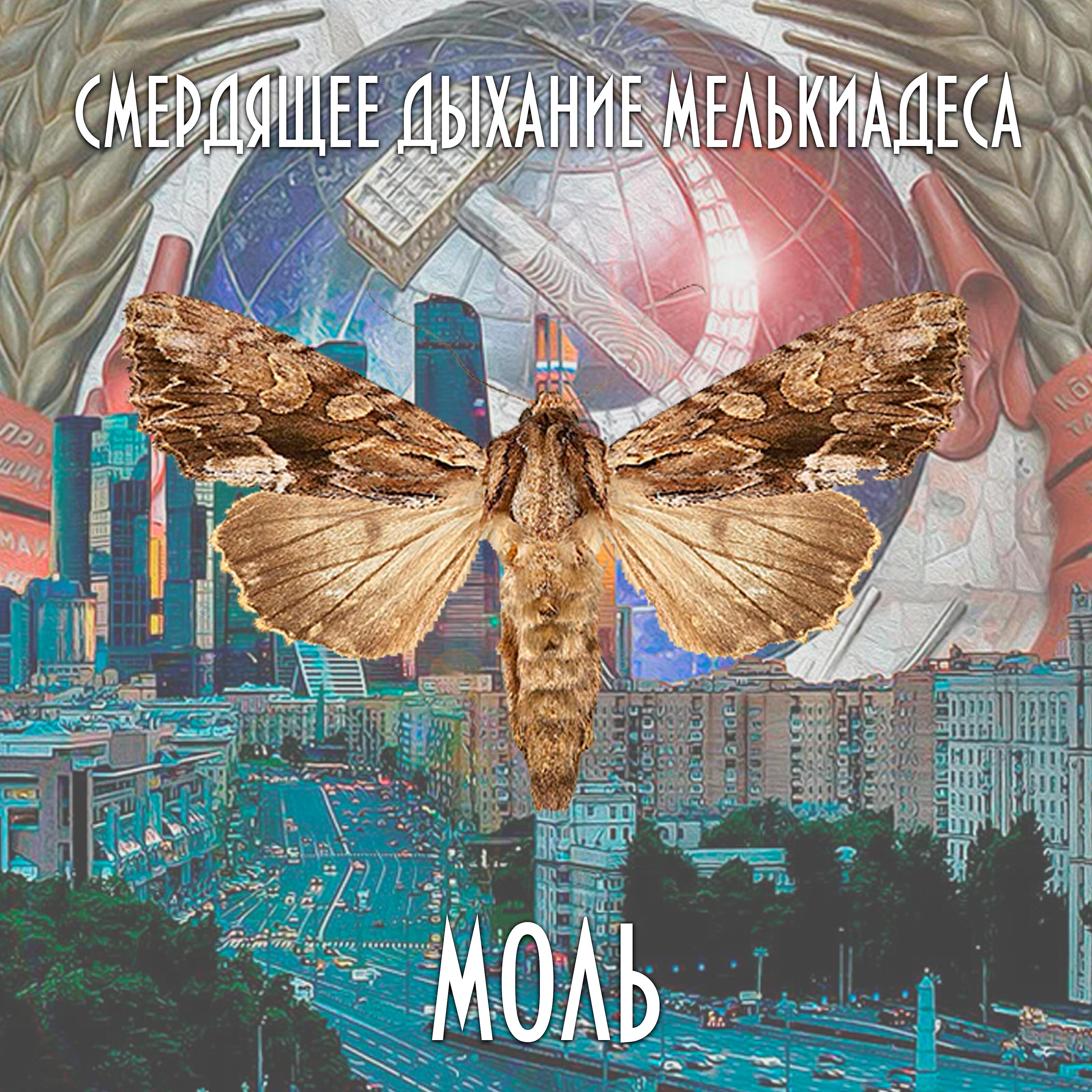 Релиз Моль