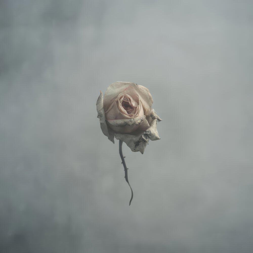 Релиз Oltre La Nebbia
