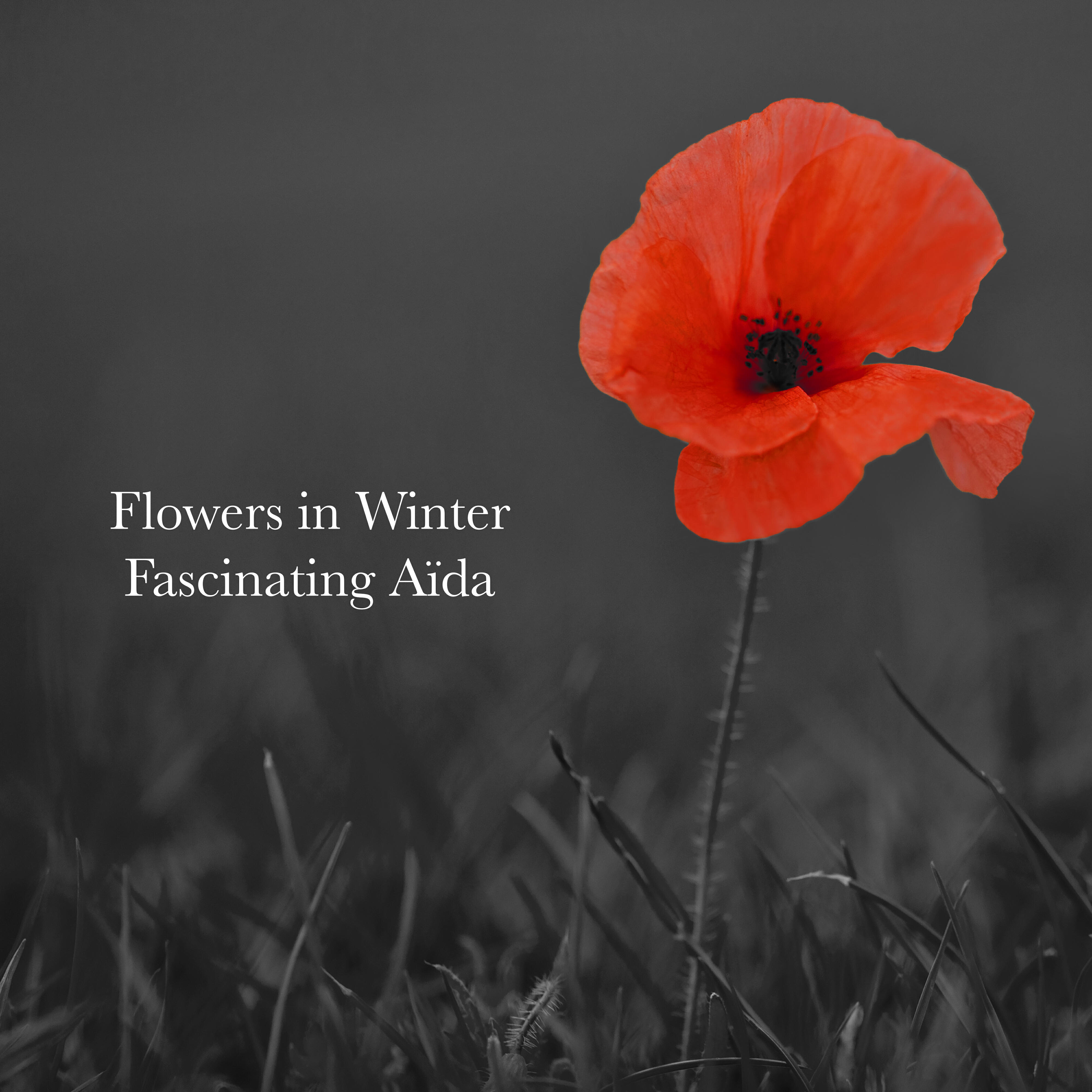 Релиз Flowers in Winter