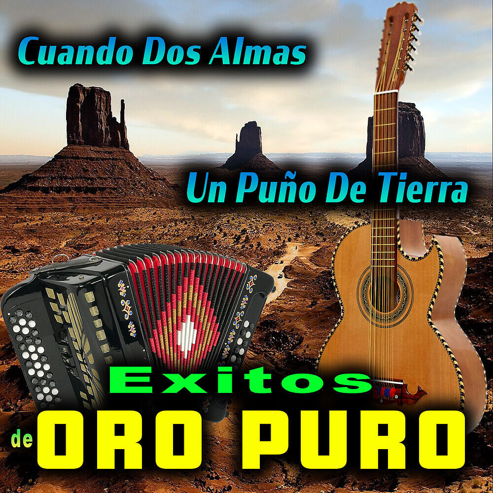 Релиз Exitos De Oro Puro