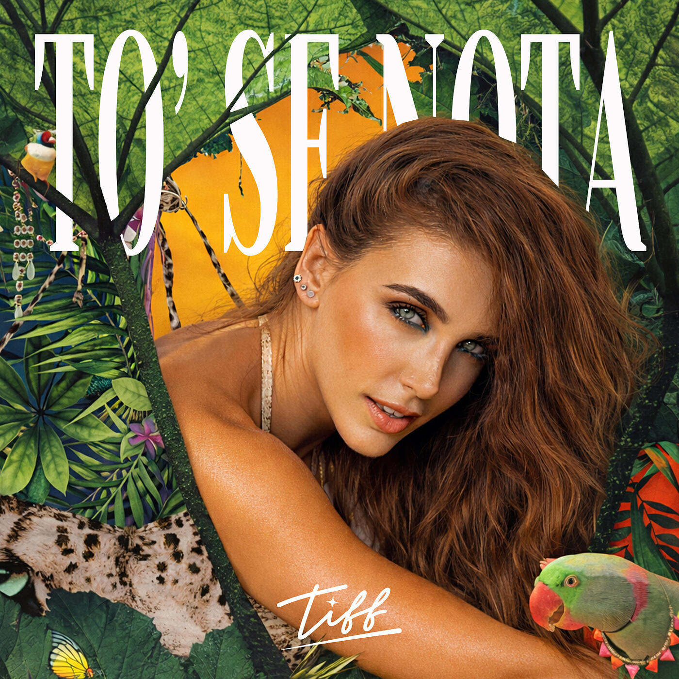 Релиз To' se nota