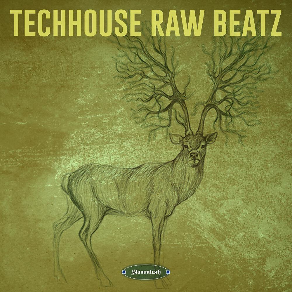Релиз Techhouse Raw Beatz