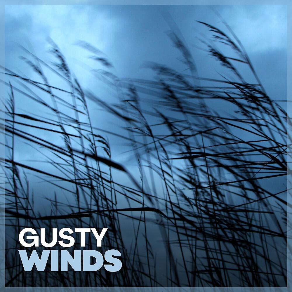 Постер альбома Gusty Winds
