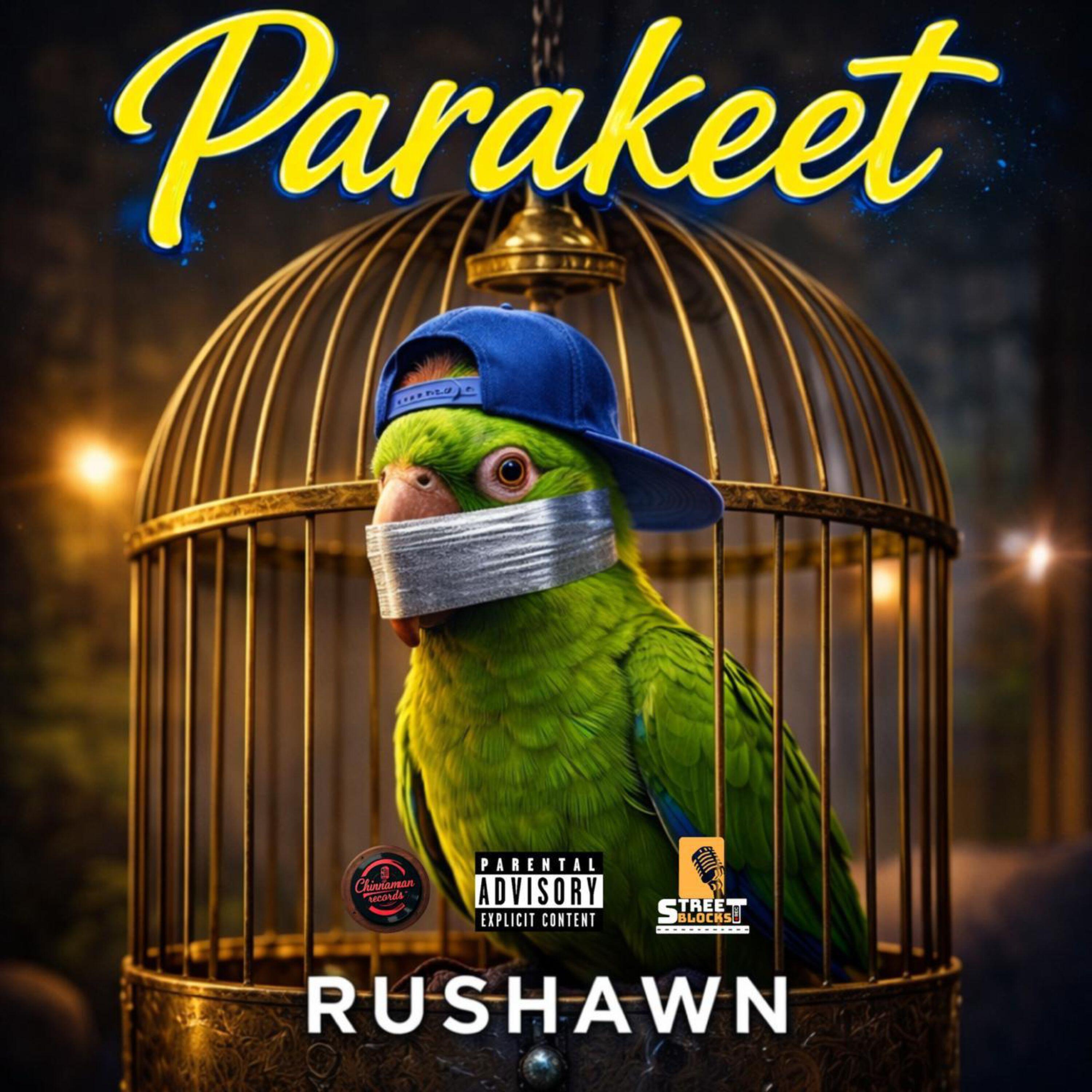 Релиз Parakeet
