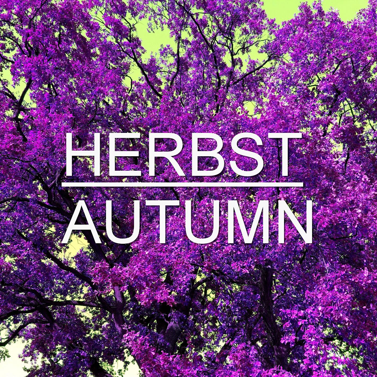 Релиз Herbst Autumn Vol. 3 (Melodic Techno Tech House Minimal Music)