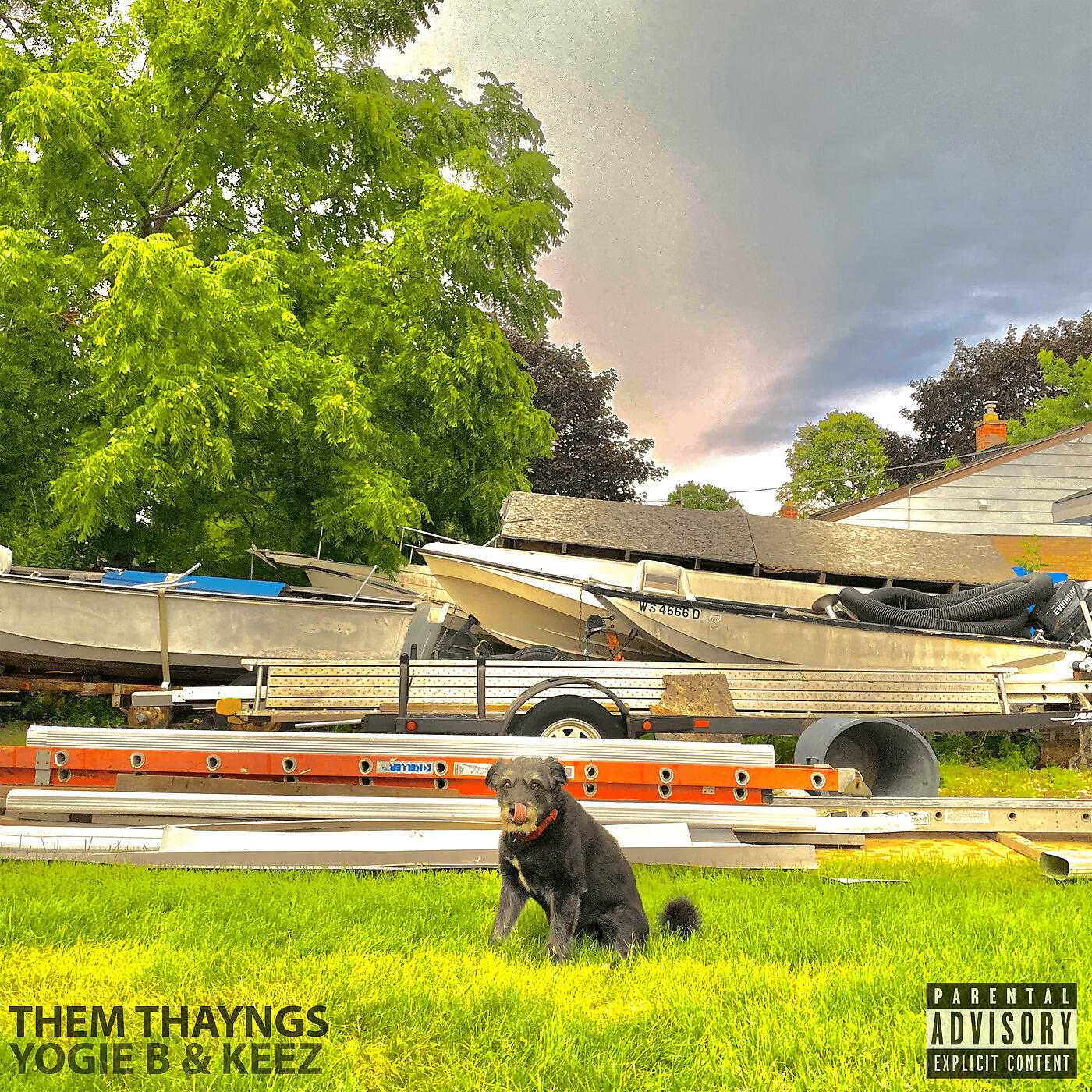 Релиз Them Thayngs