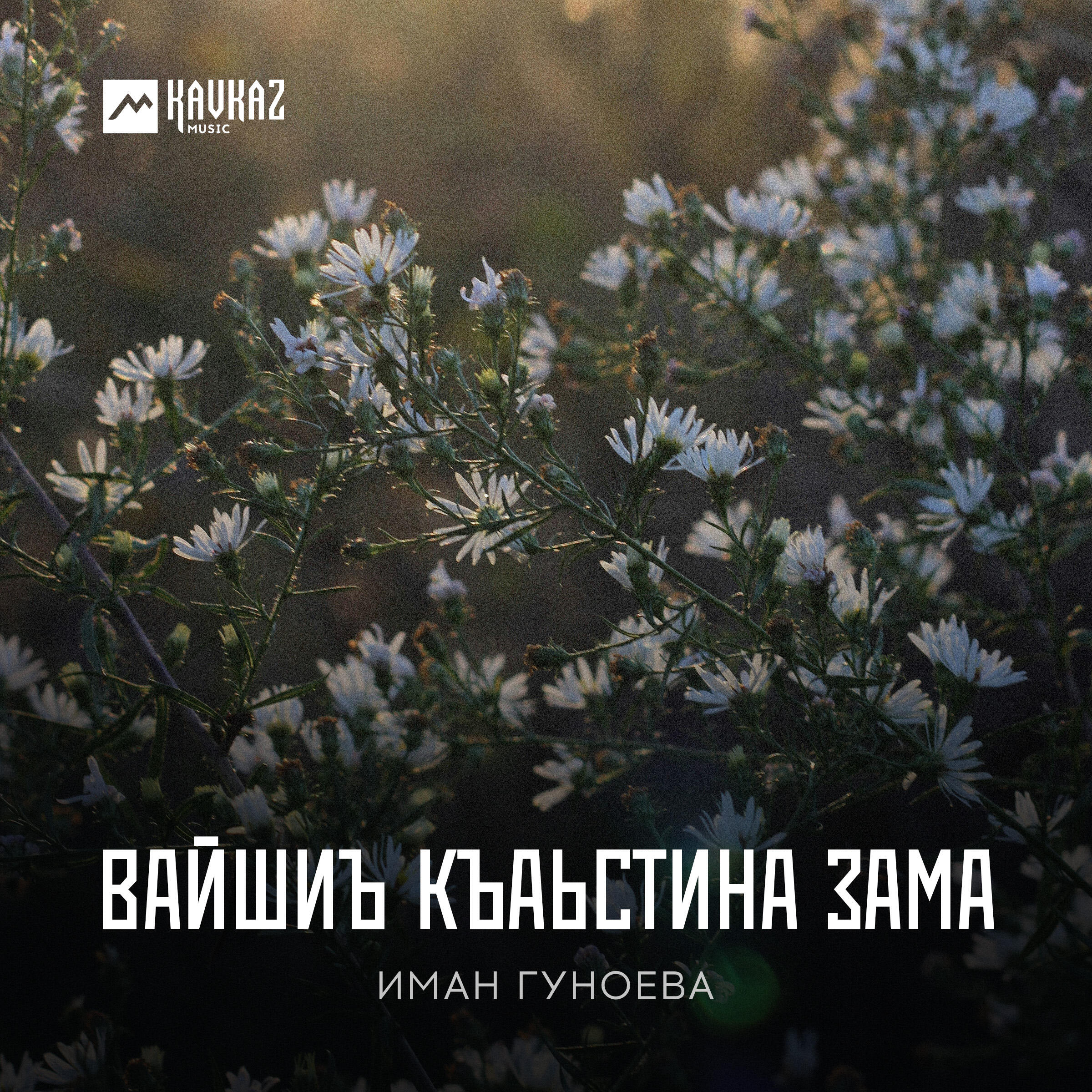 Релиз Вайшиъ къаьстина зама
